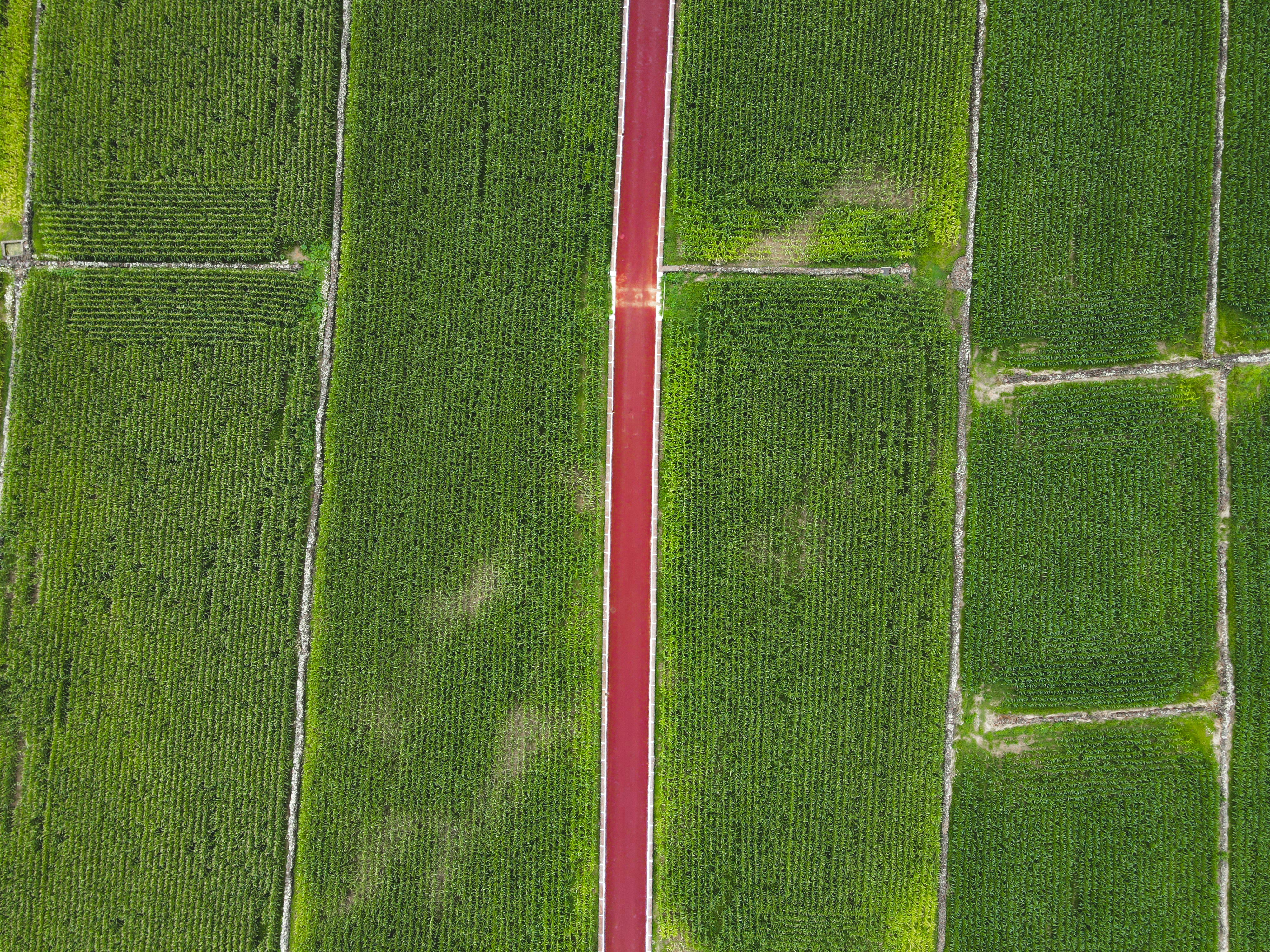 Photo by francesco_ungaro