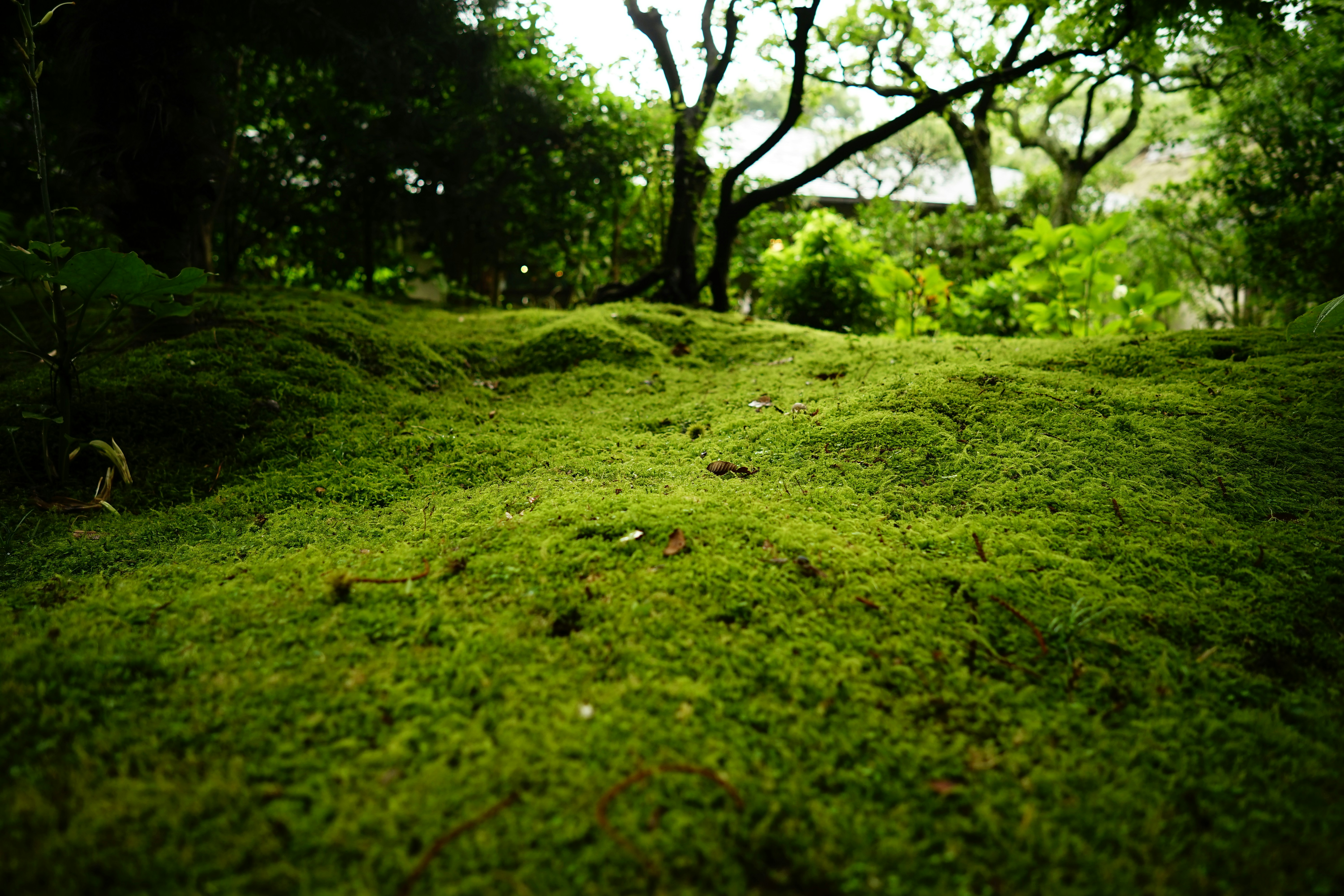Photo by alpha009