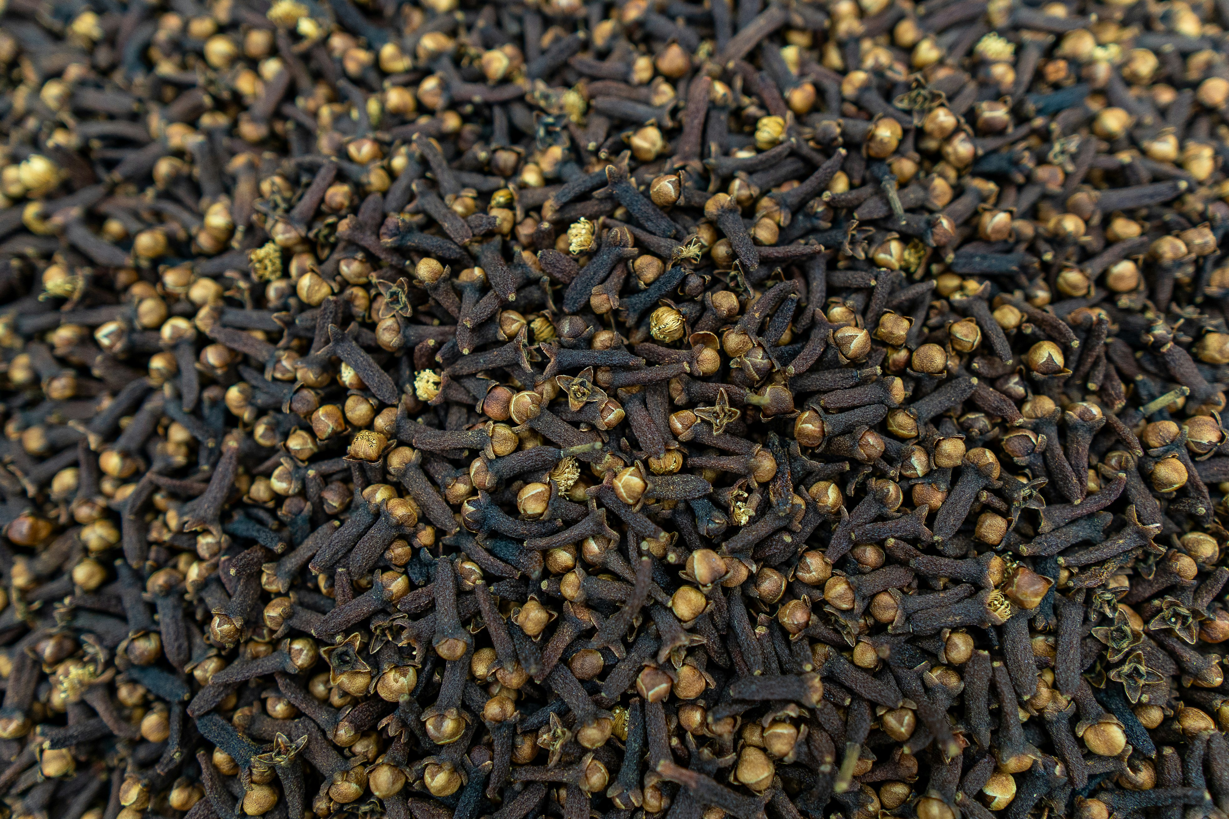 A pile of dried cloves foraged cloves