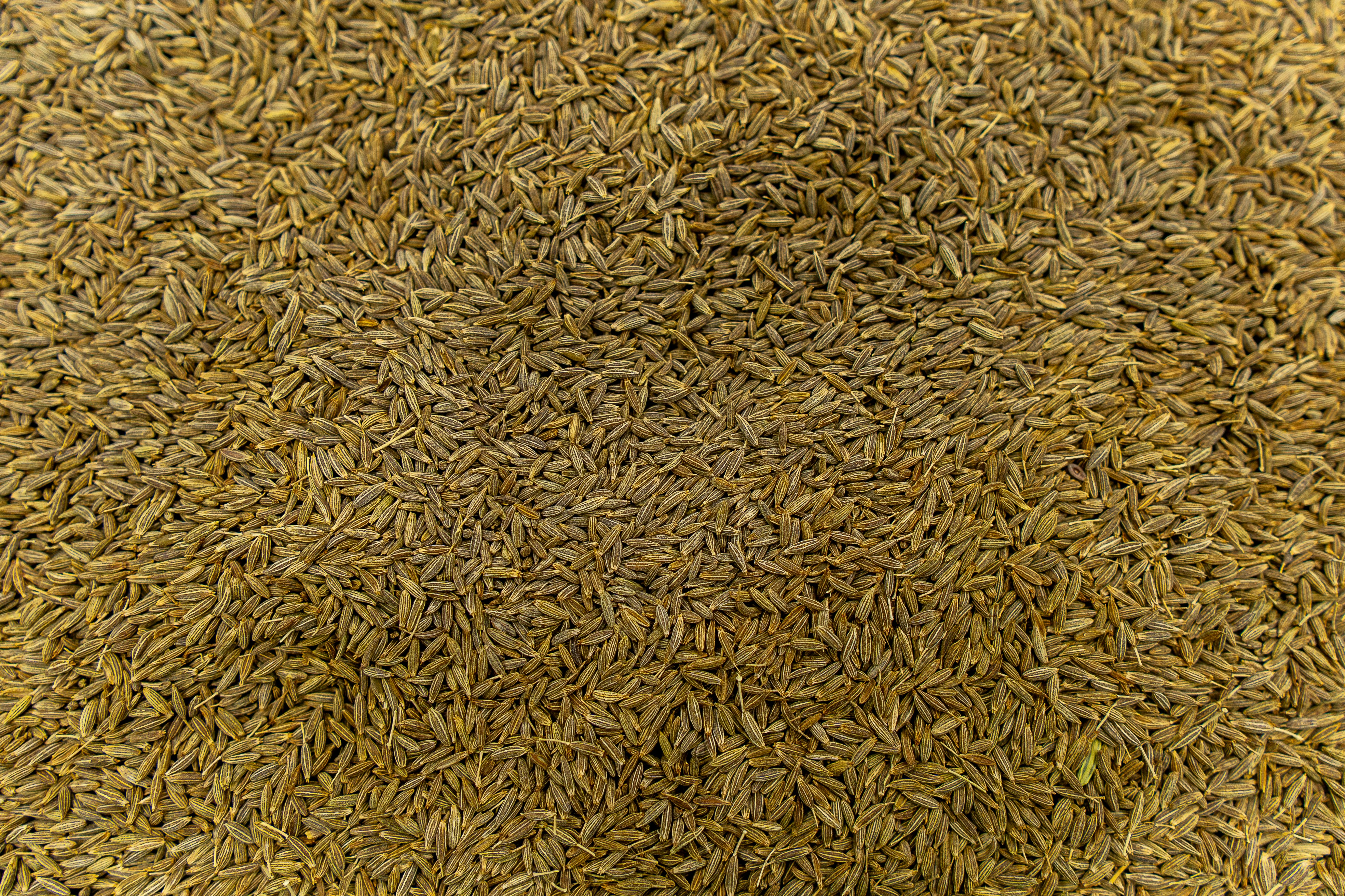 A pile of dried cumin seeds