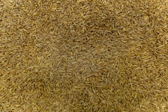 A pile of dried cumin seeds