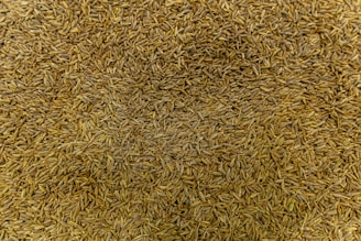 A pile of dried cumin seeds
