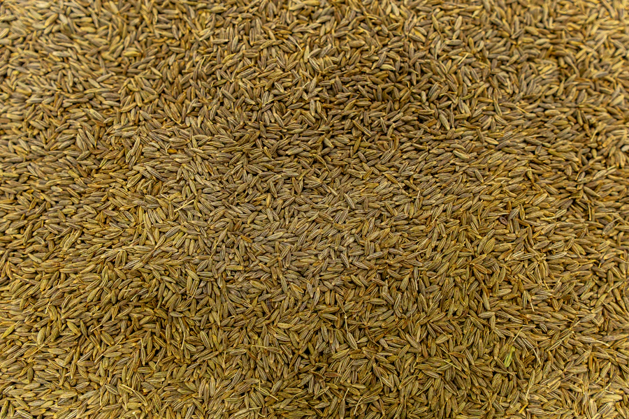 Dried cumin seeds (jeera)