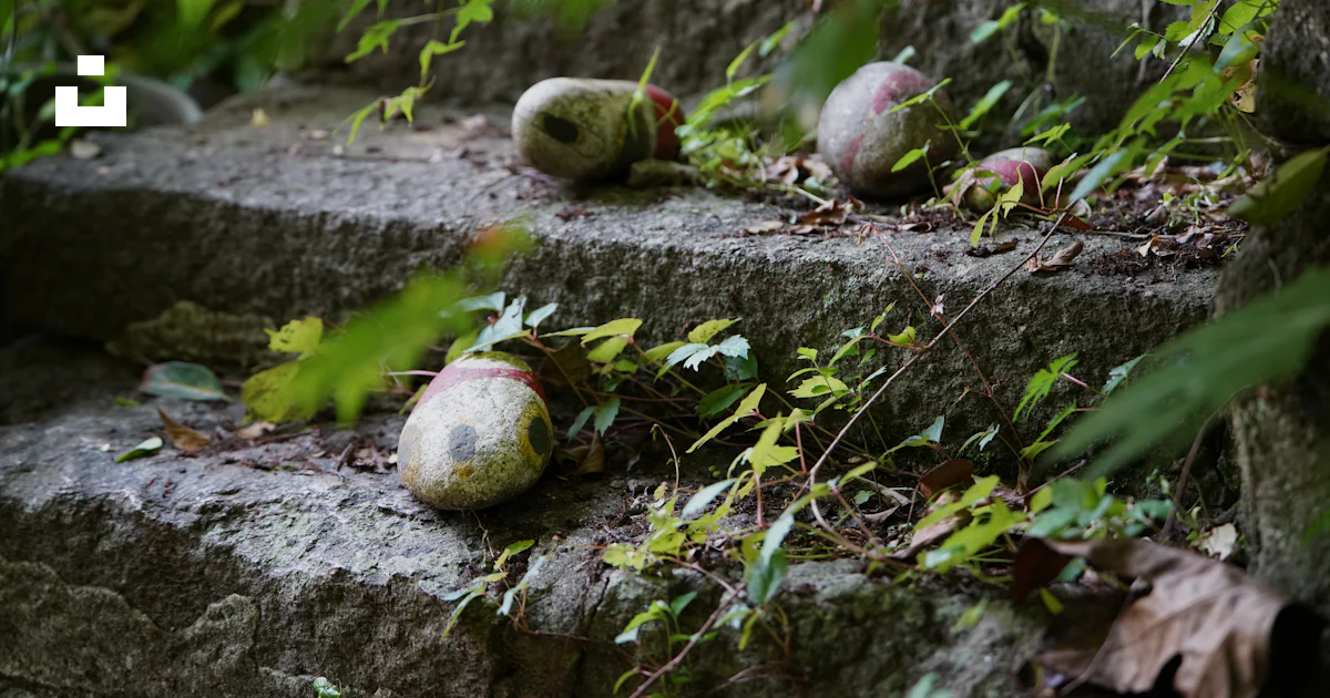 Steps Rotten Rotten apples scattered on stone steps with ivy. photo – Free Food ...