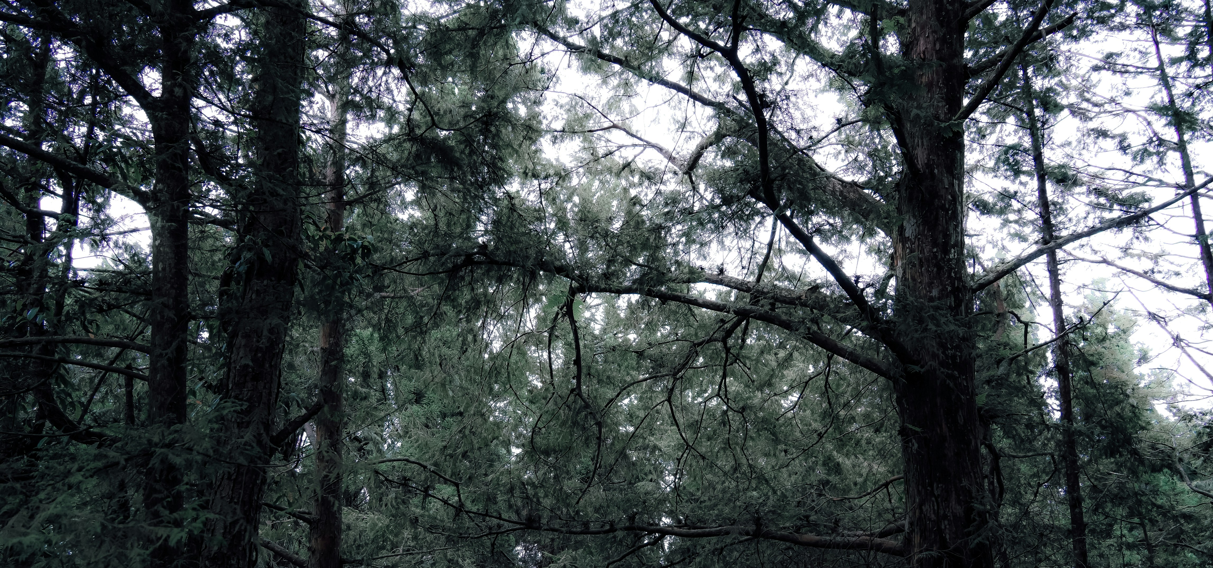 Photo by johnnyho_ho