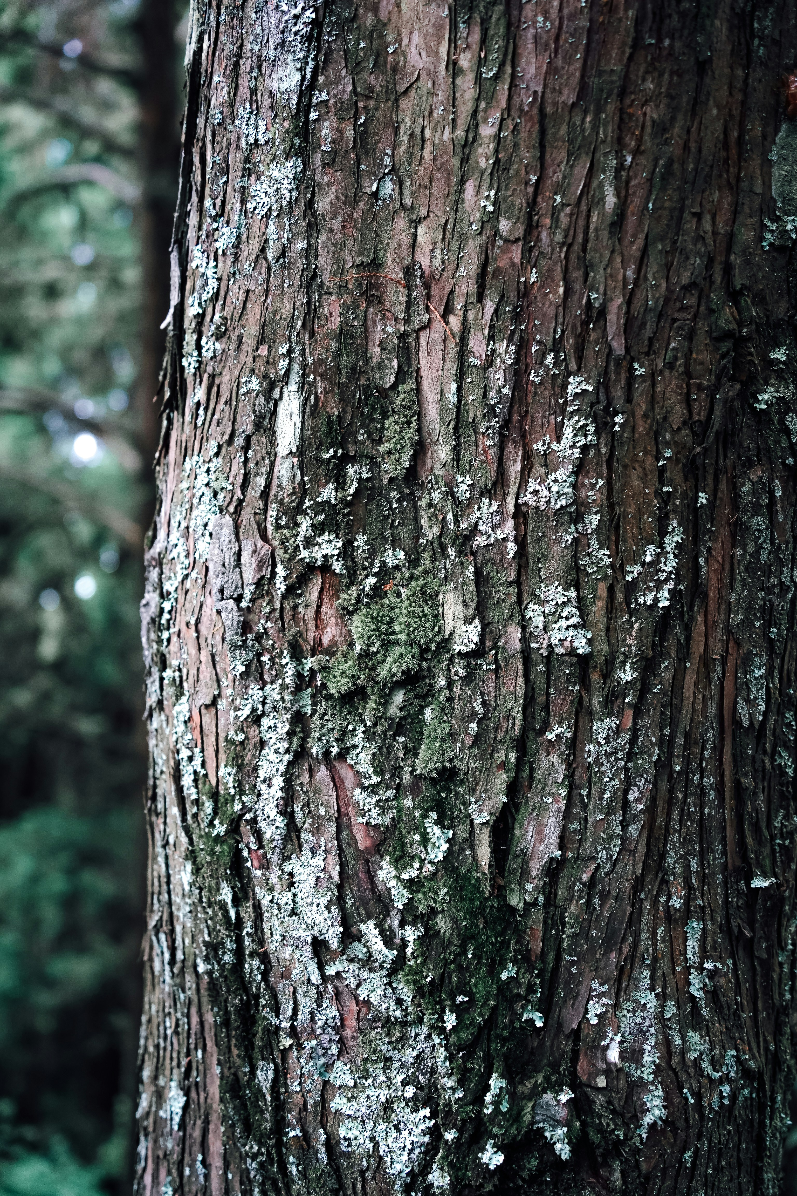 Photo by johnnyho_ho