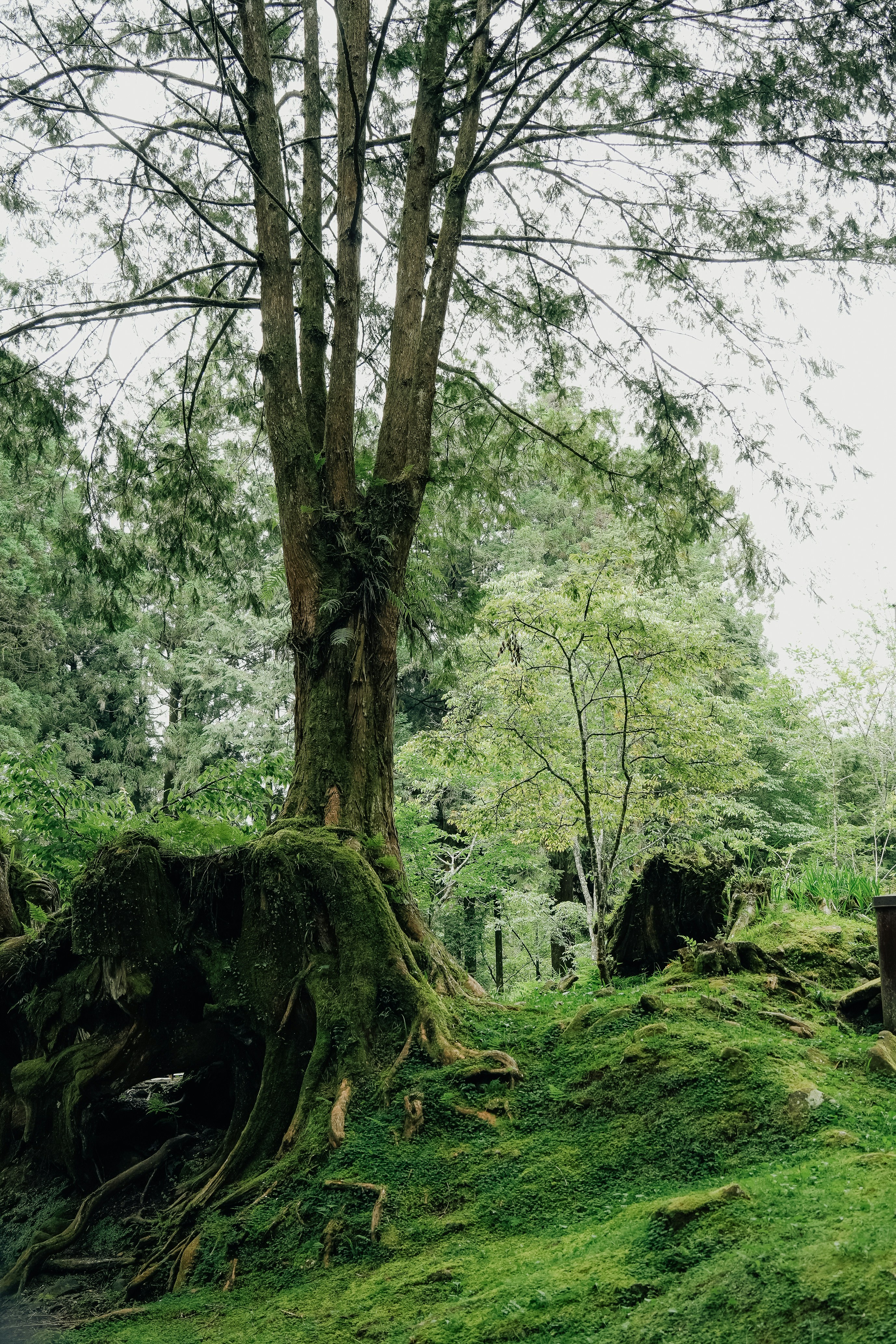 Photo by johnnyho_ho