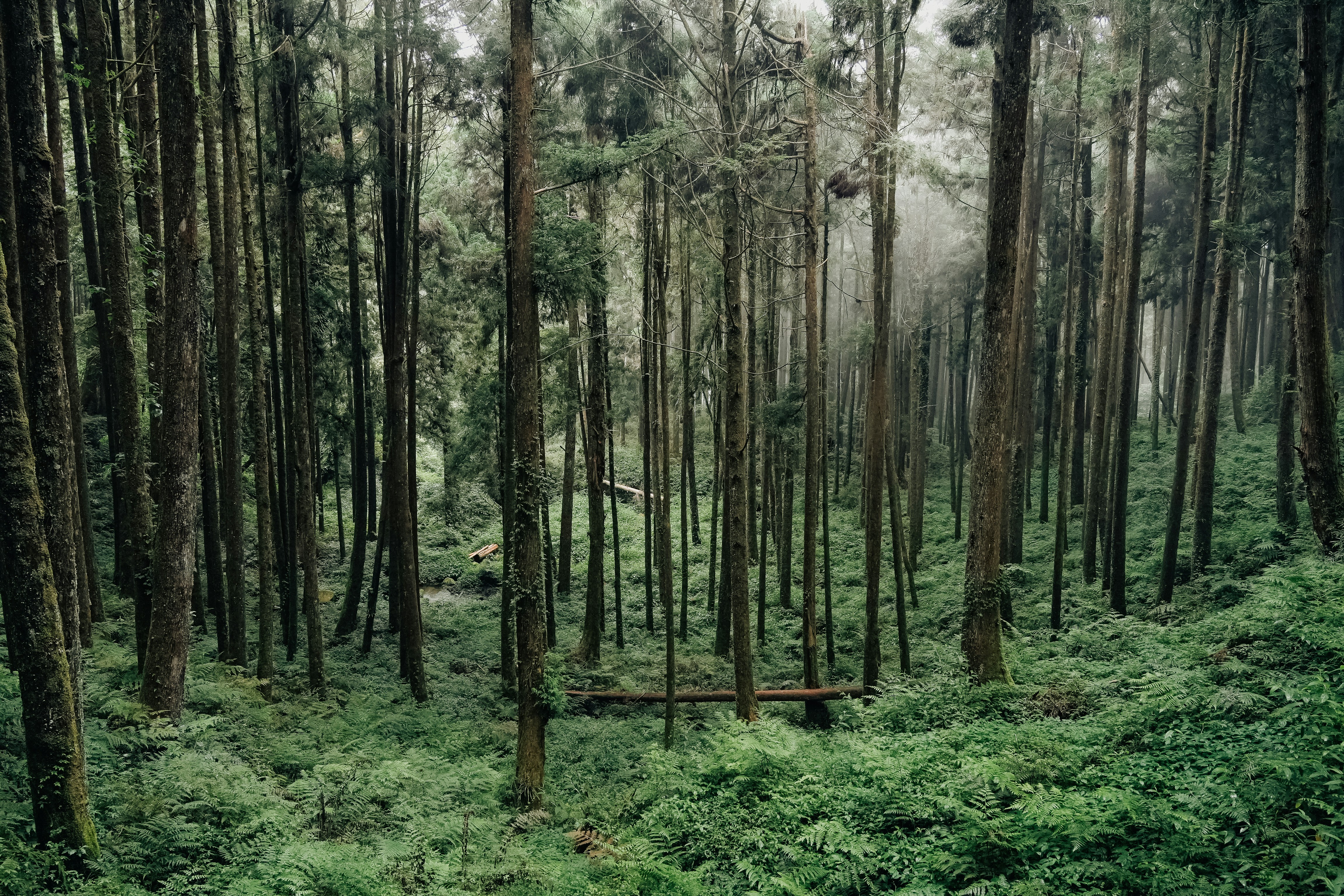 Photo by johnnyho_ho