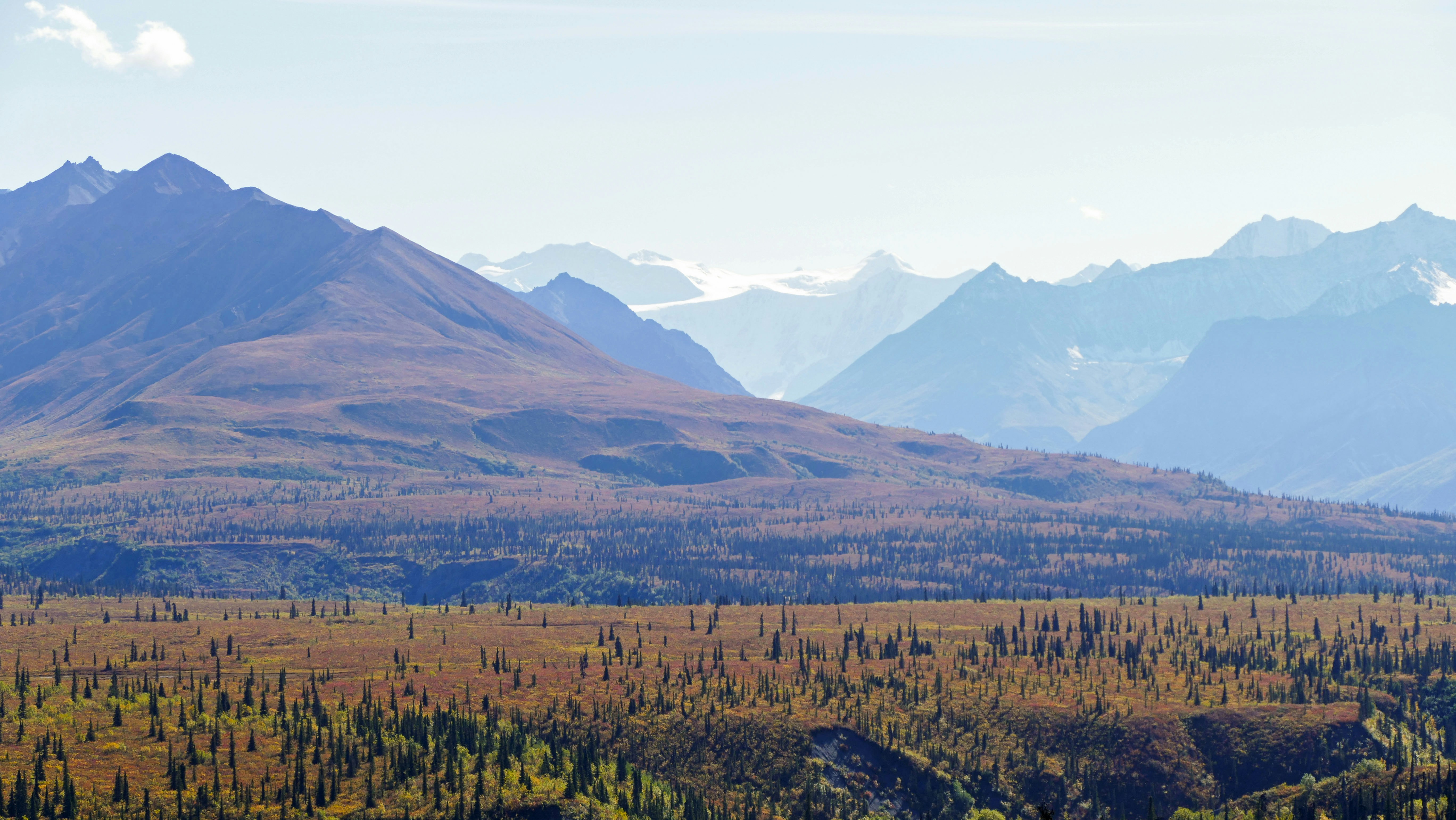 Photo by jorisbeugels