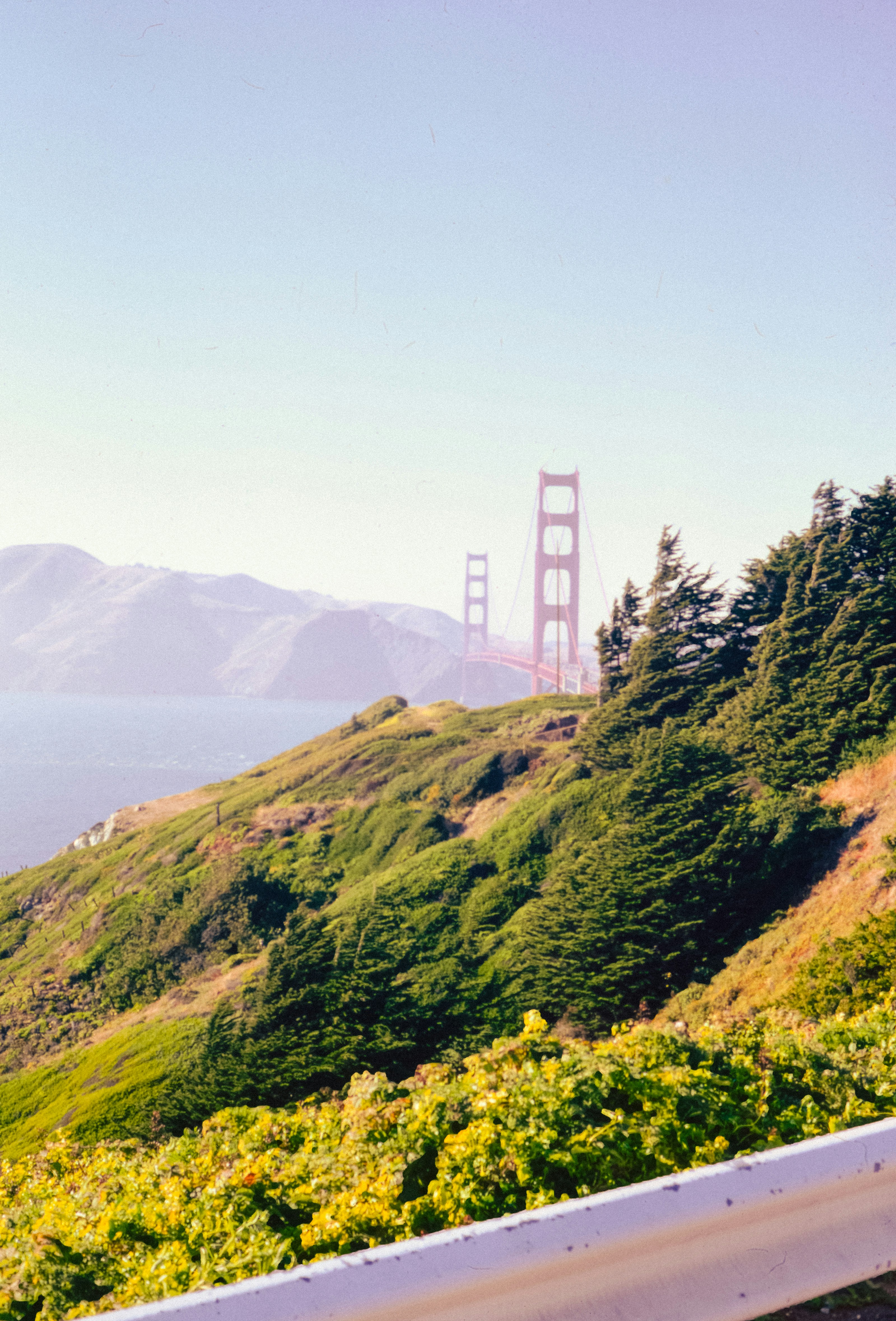 Photo by anniespratt