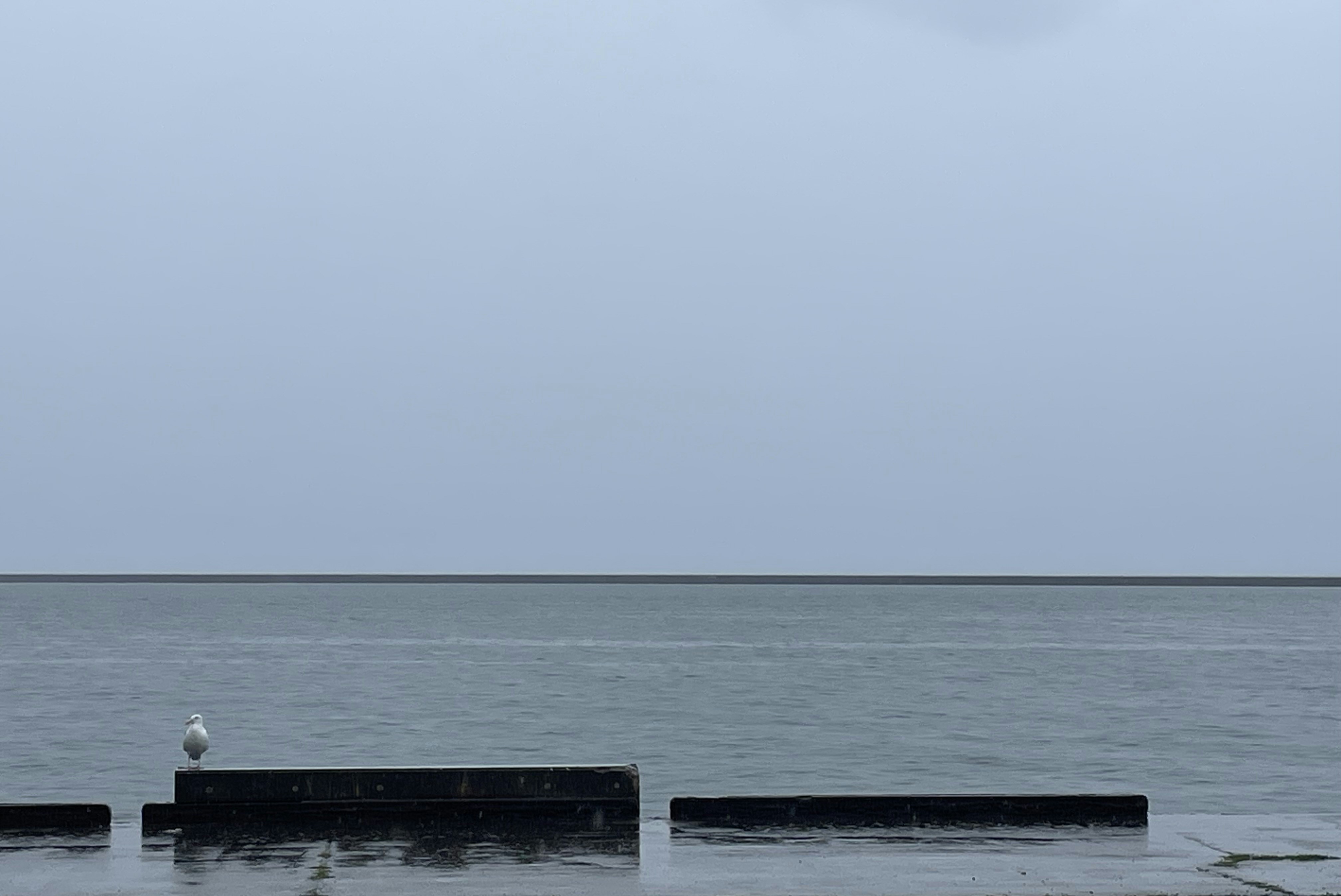 Photo by lafesta6720