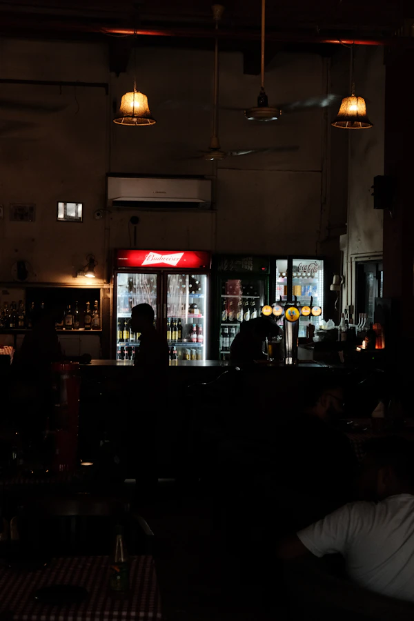 Dimly lit bar with guests