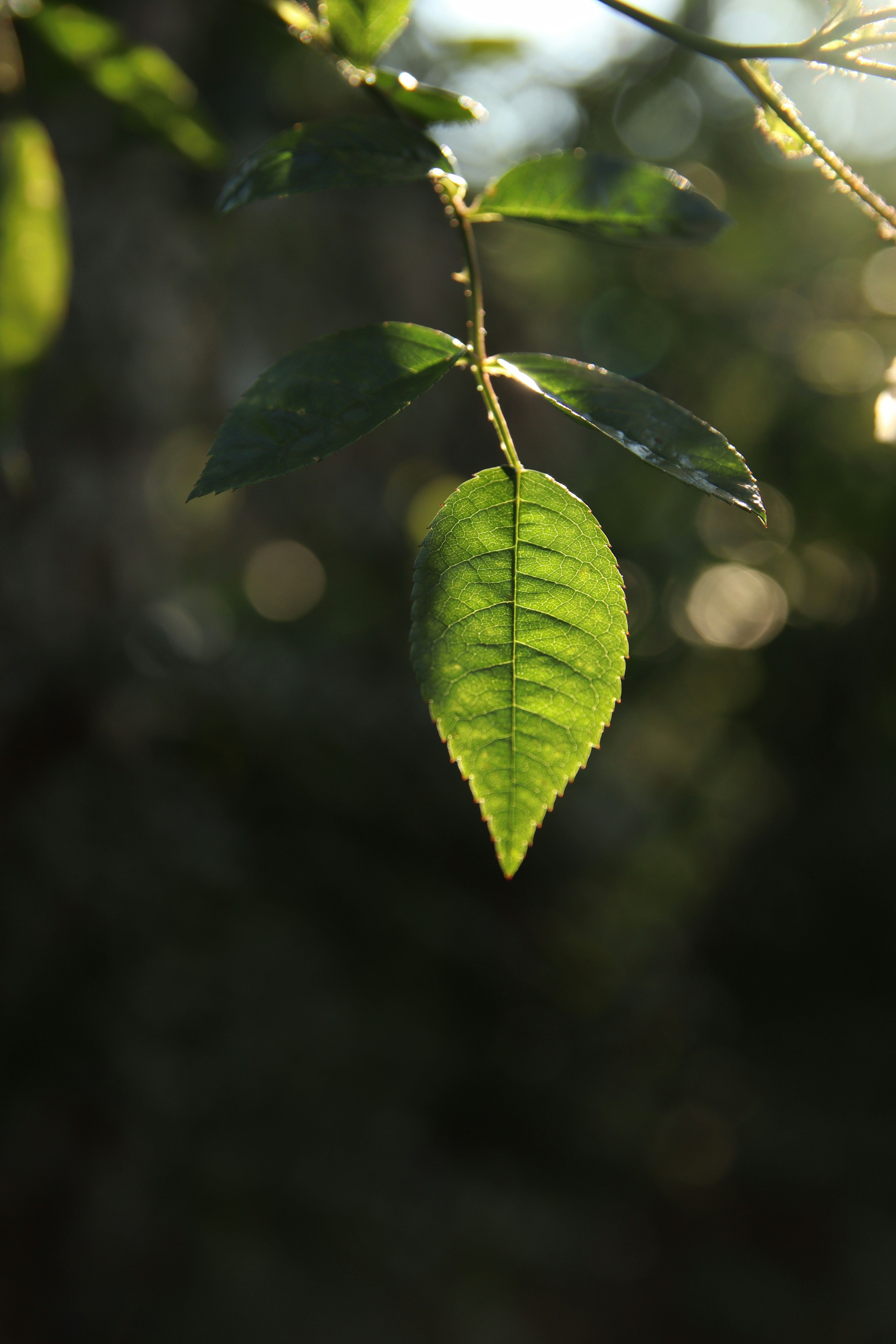 Photo by feeling_hope