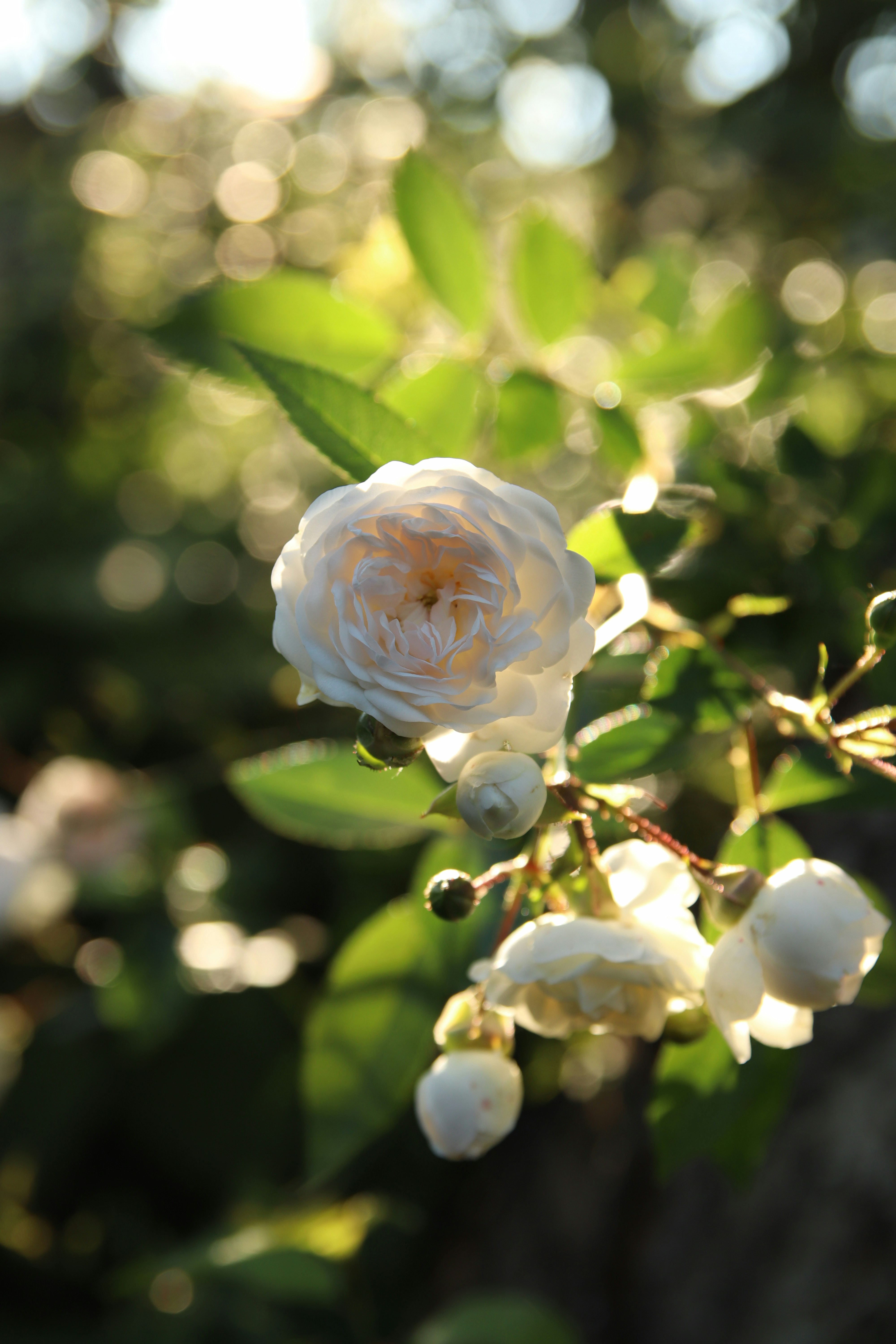 Photo by feeling_hope