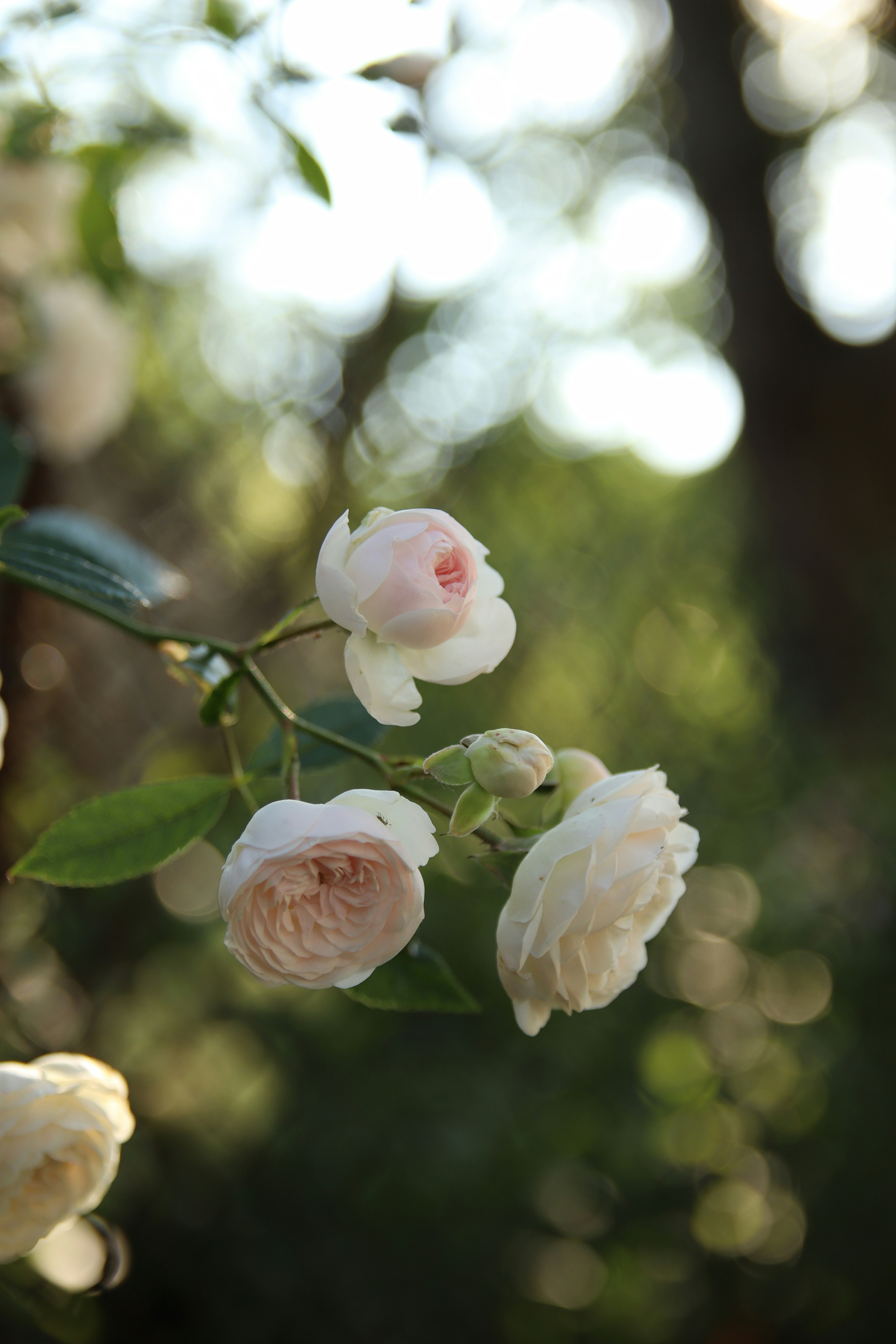 Photo by feeling_hope