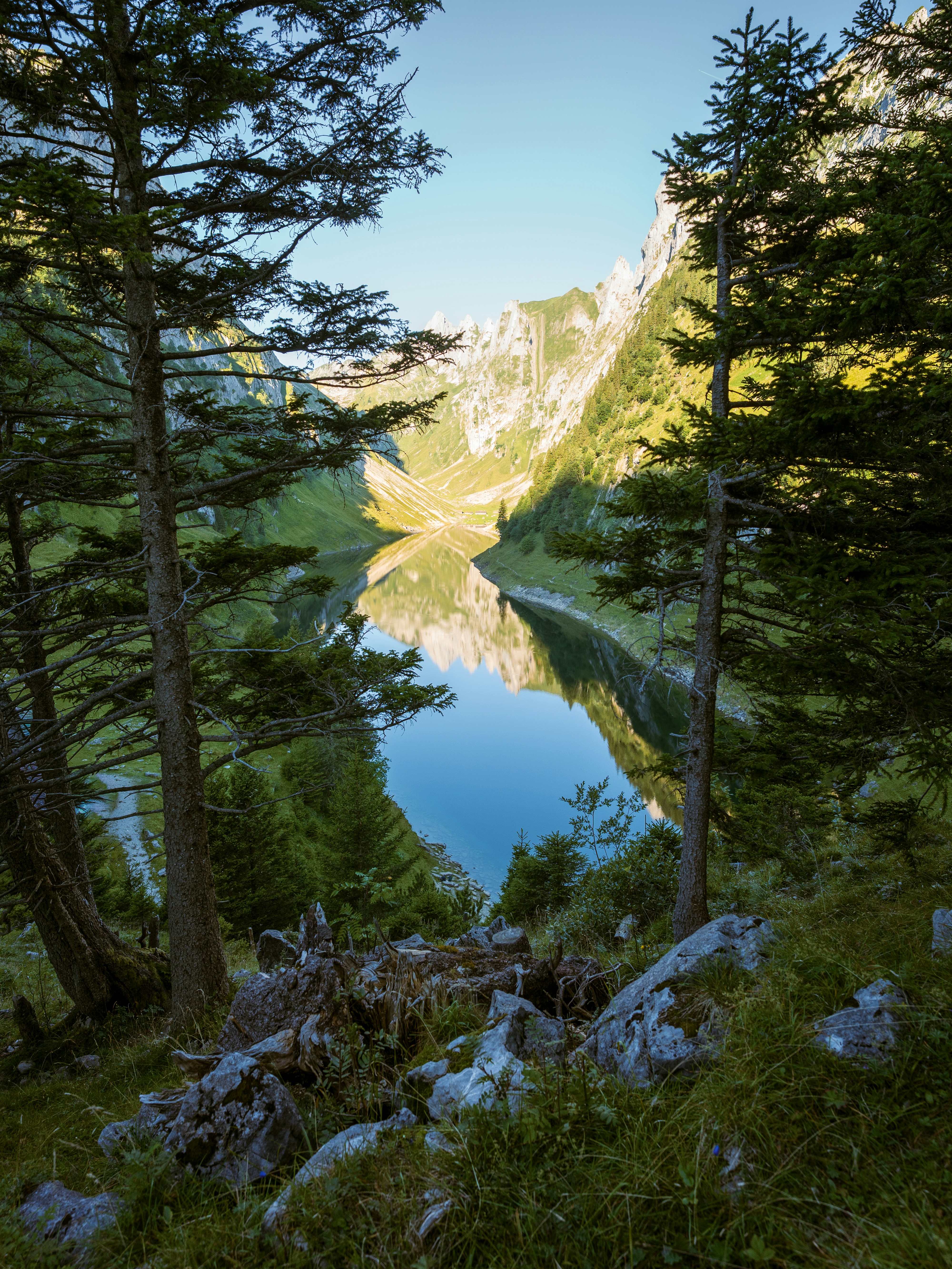 Tranquil lake reflecting mountains and trees under clear sky