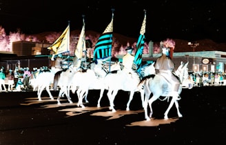 People on horseback with flags at night