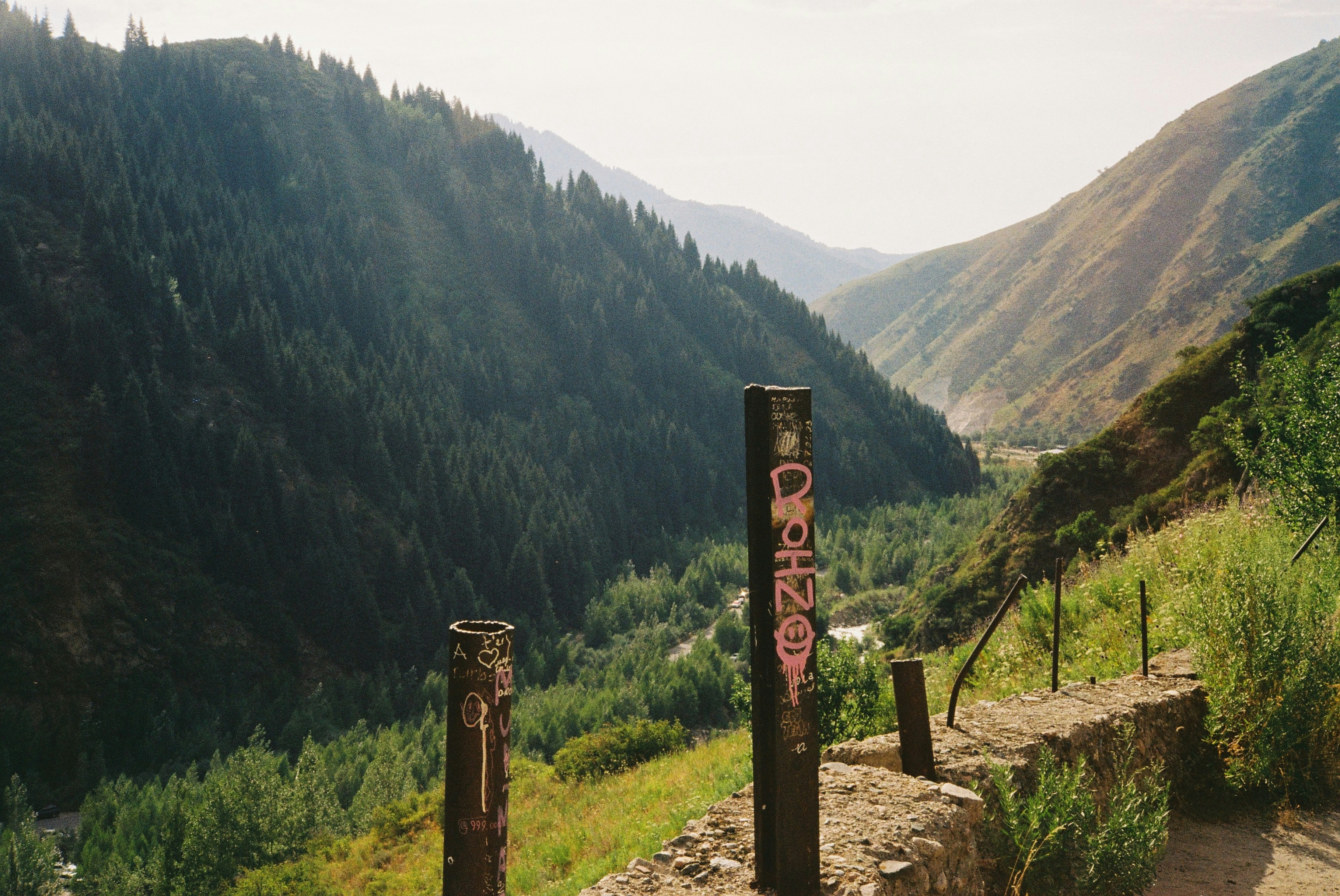 Two wooden posts in a lush green mountain valley.