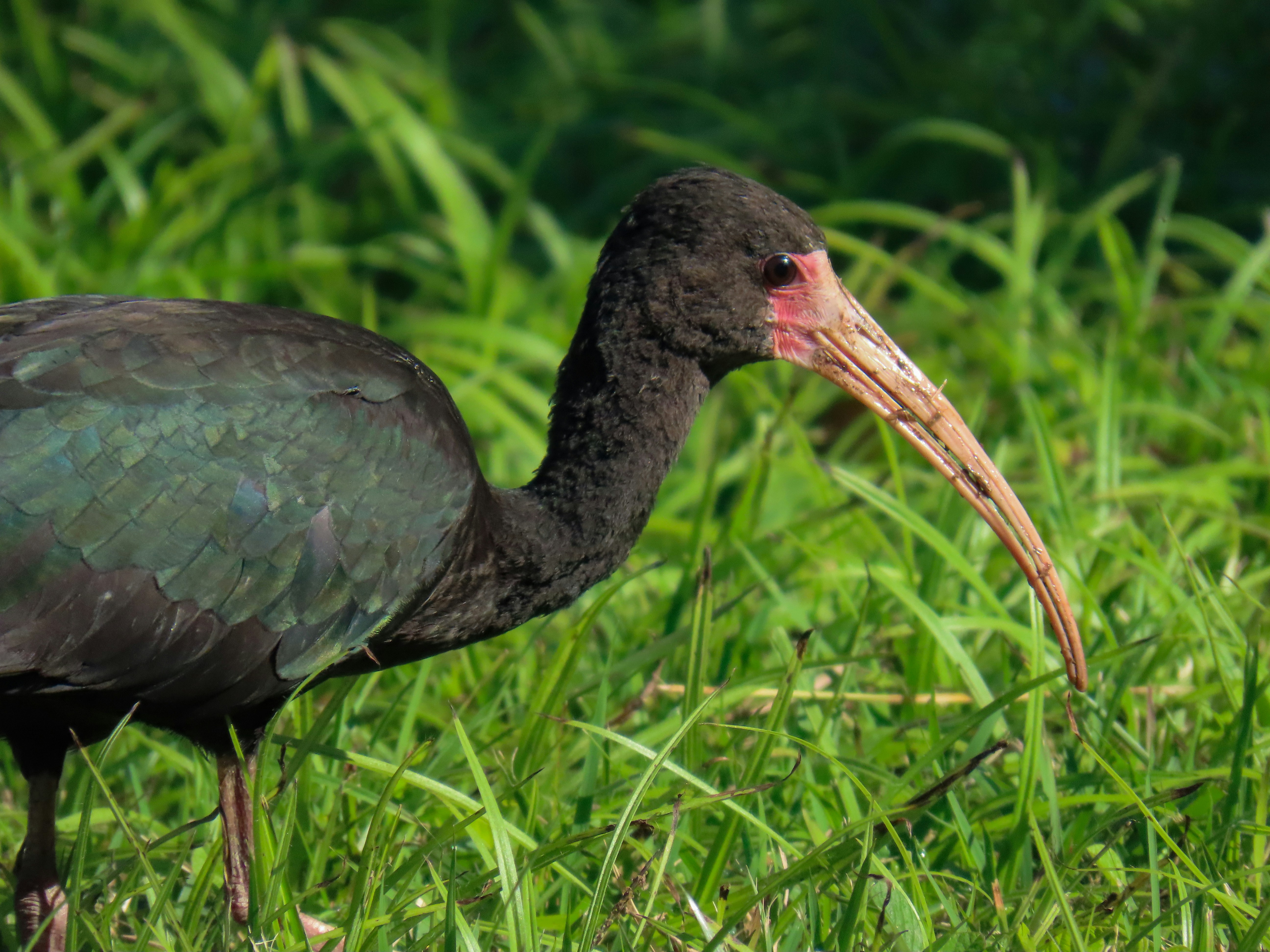 Photo by patricianicoloso