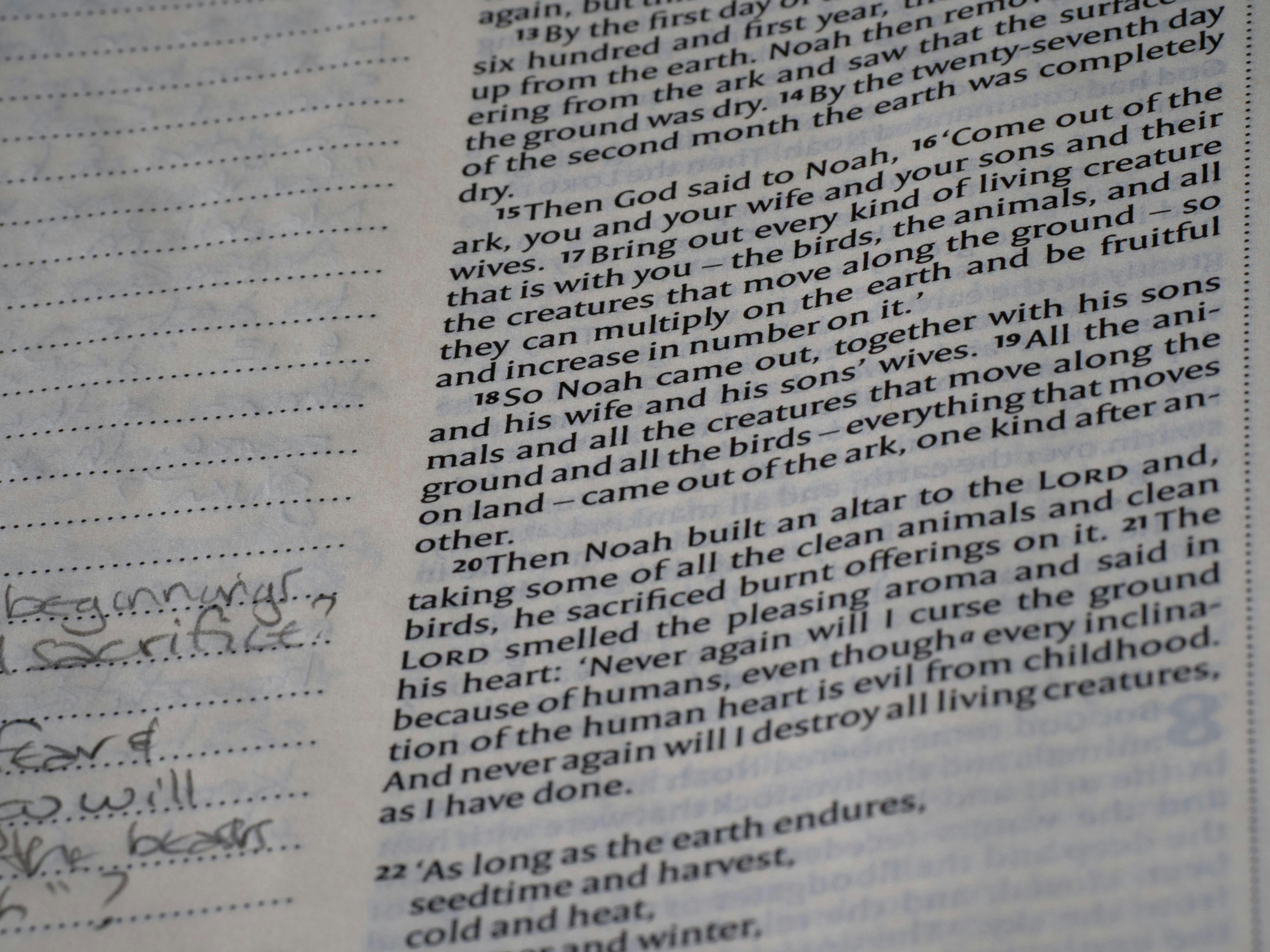 Photo by brett_jordan