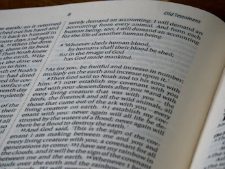 Close-up of an open bible with text visible.