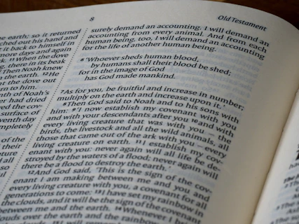 Close-up of an open bible with text visible.