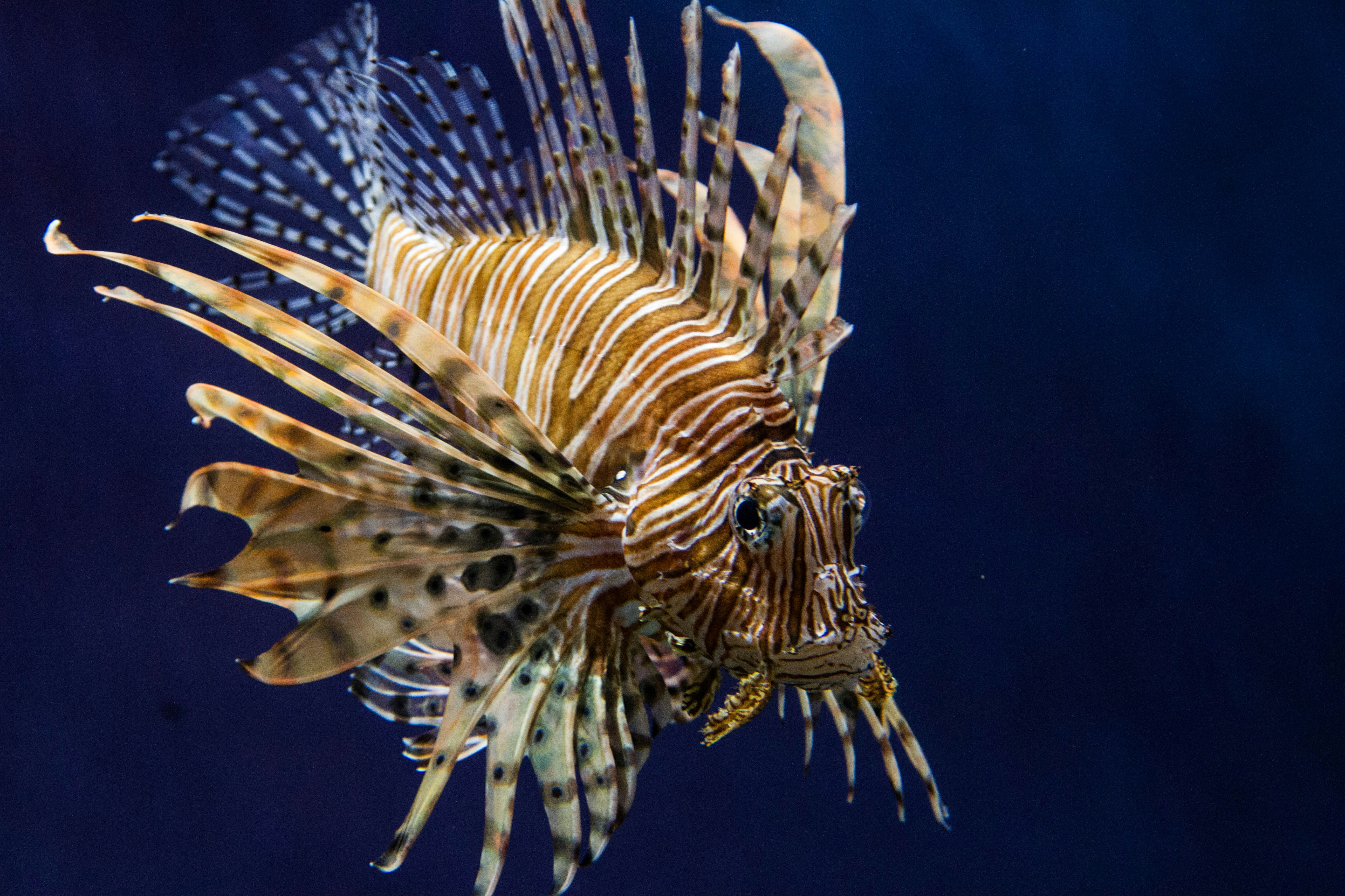 Photo by moodygardens