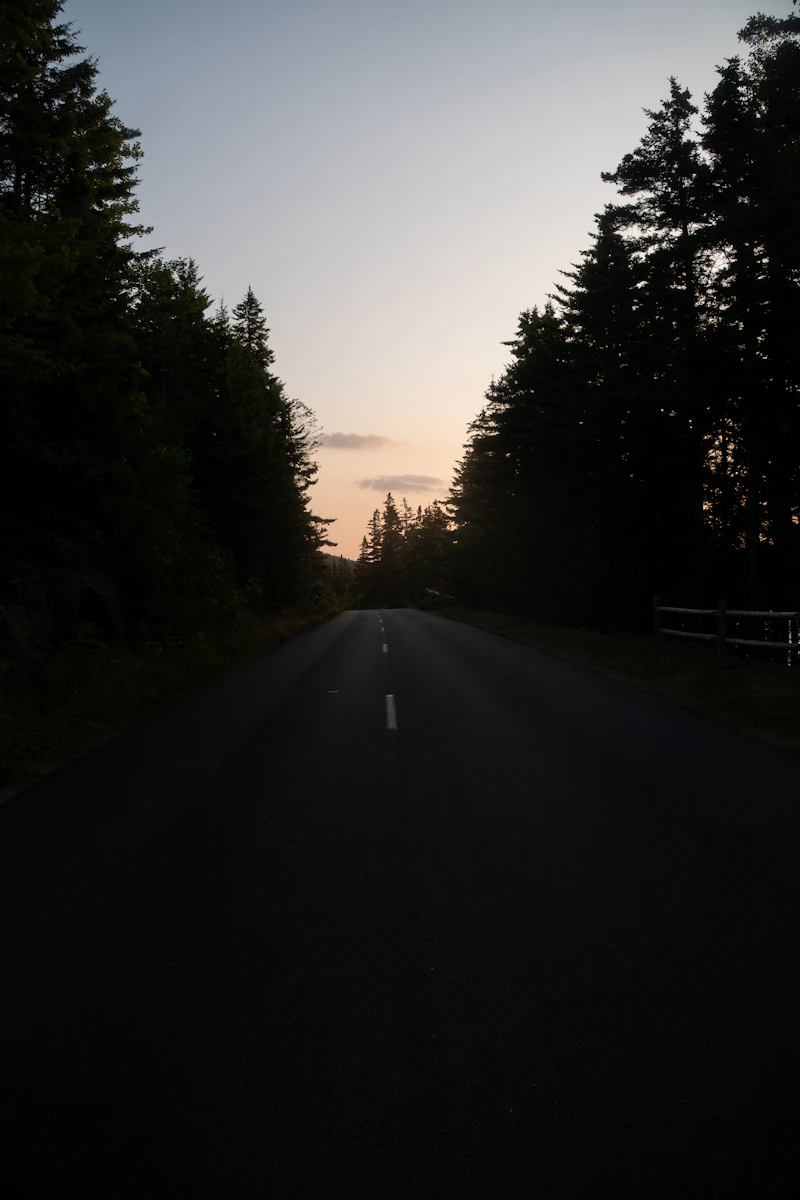An empty country road at dusk