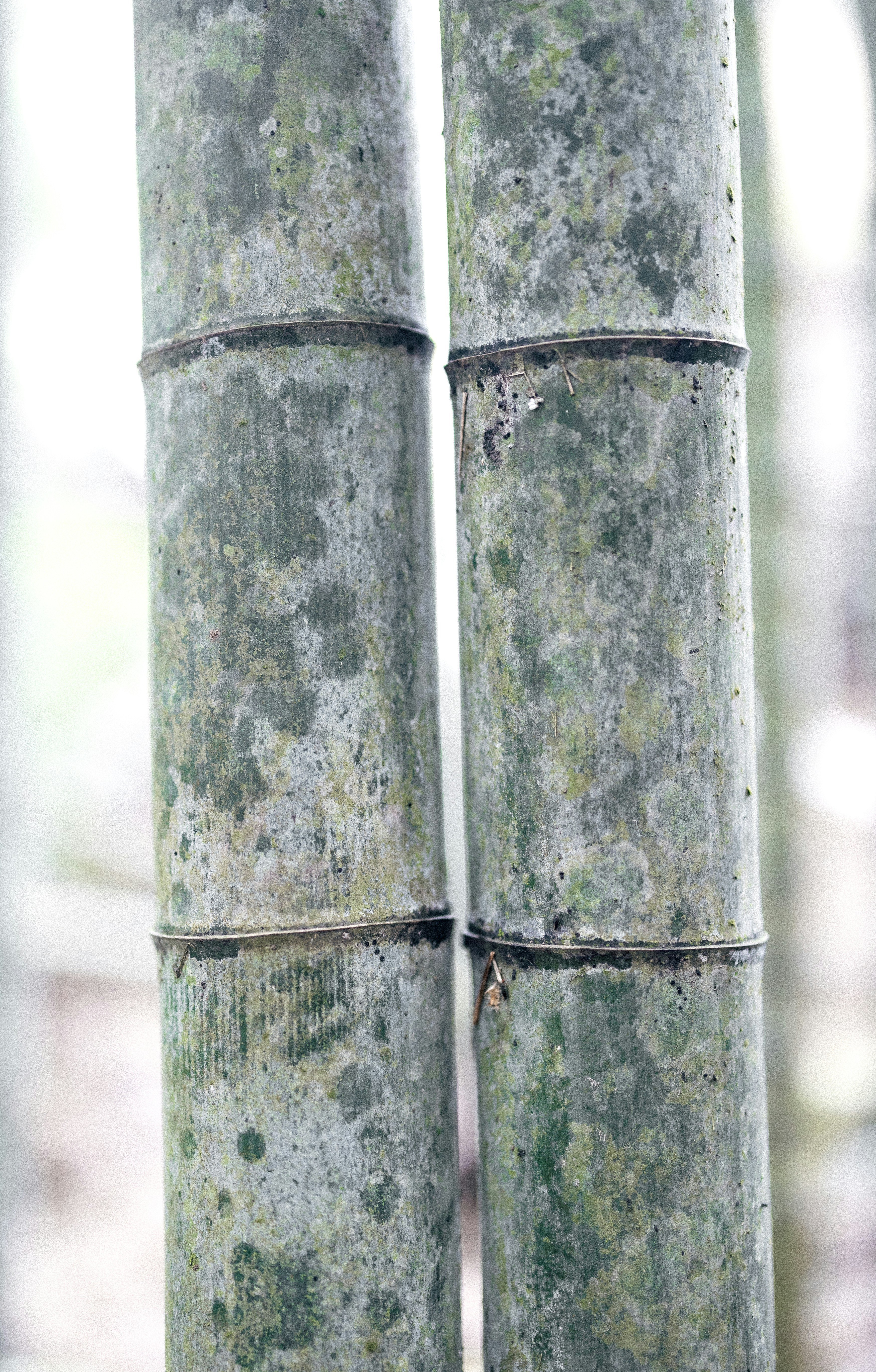 Photo by marekpiwnicki