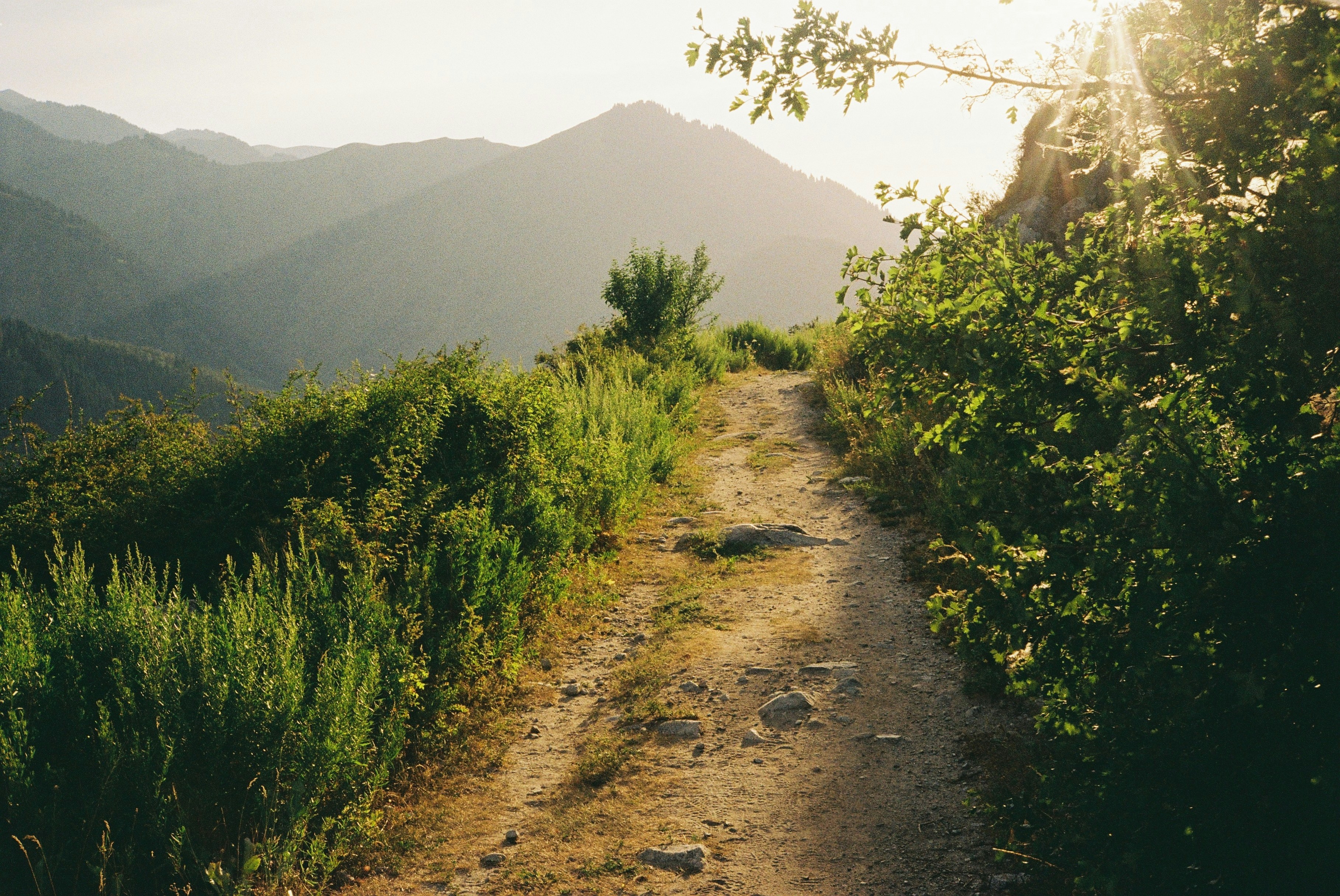 Photo by dmitrii_filatov