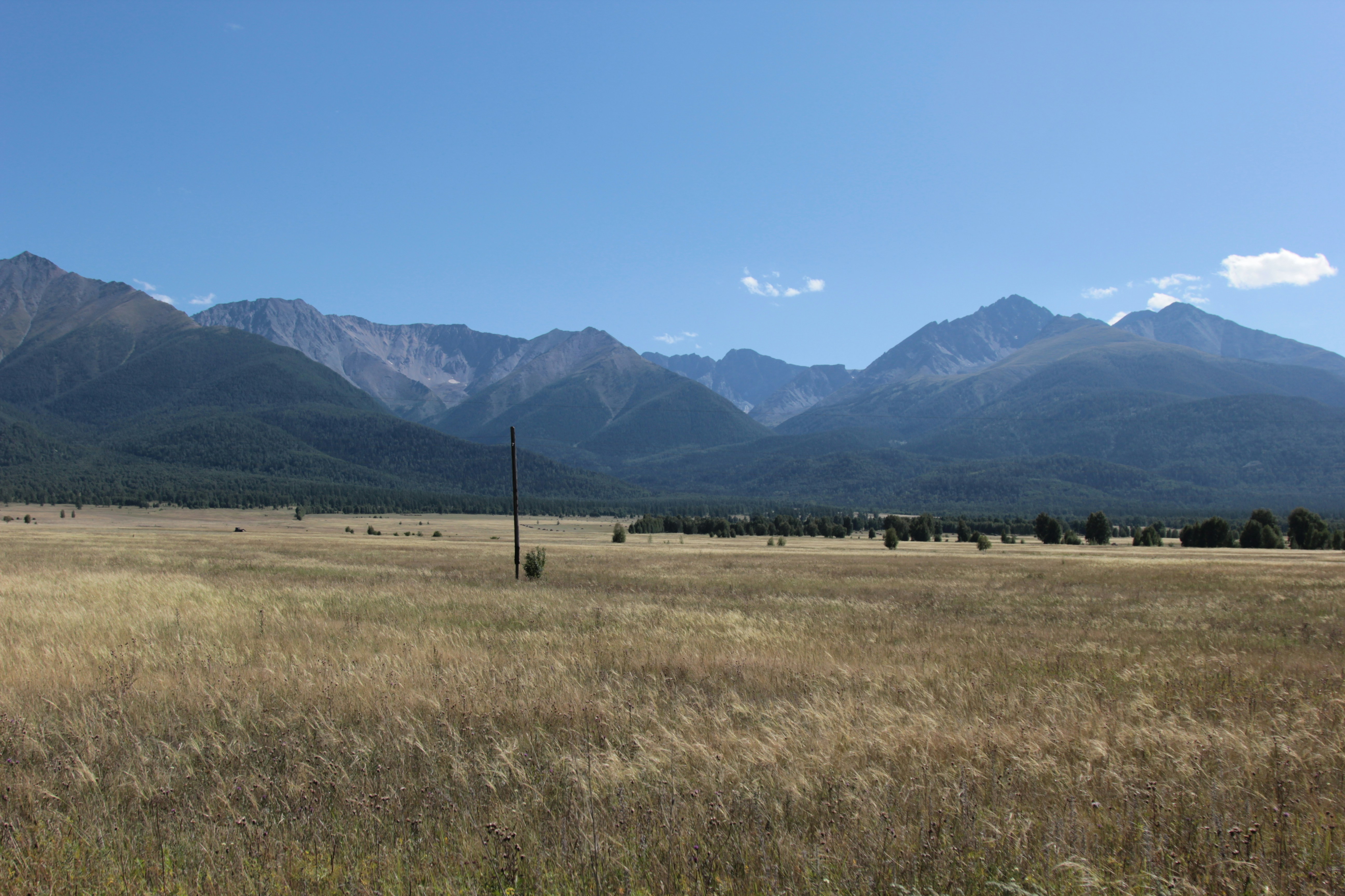 Photo by natalia_golovanova