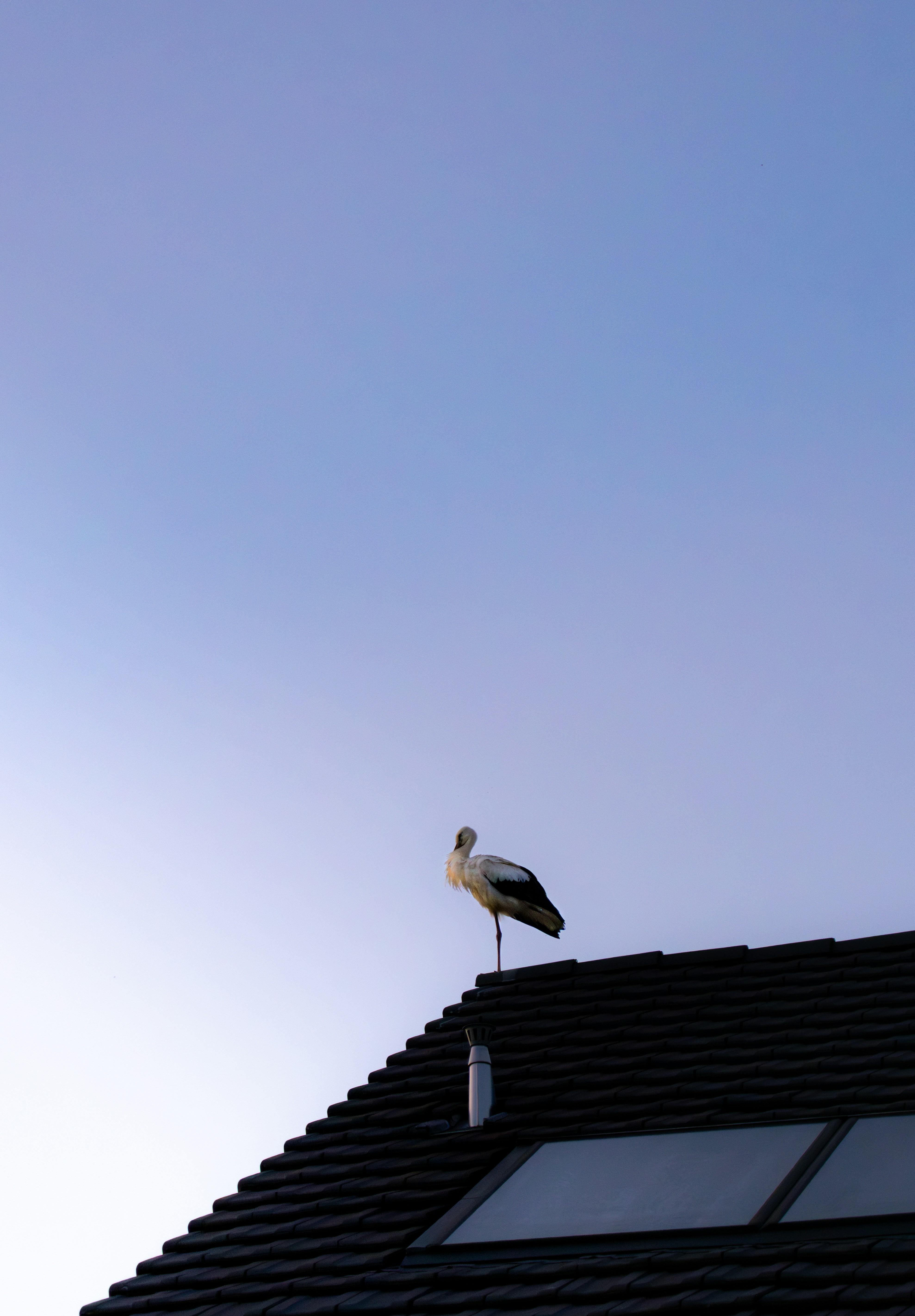 Photo by nathan030997