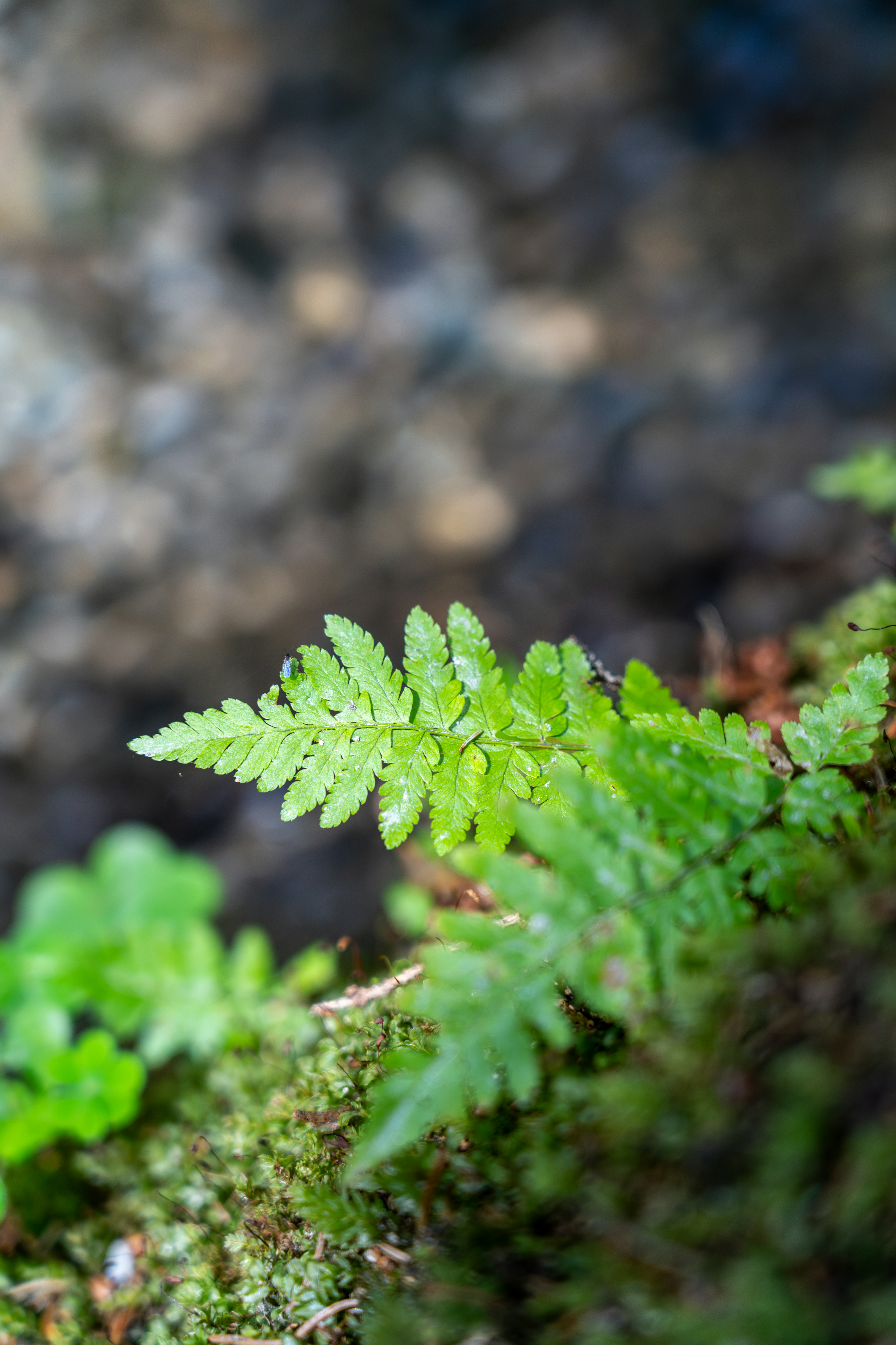 Photo by nathan030997