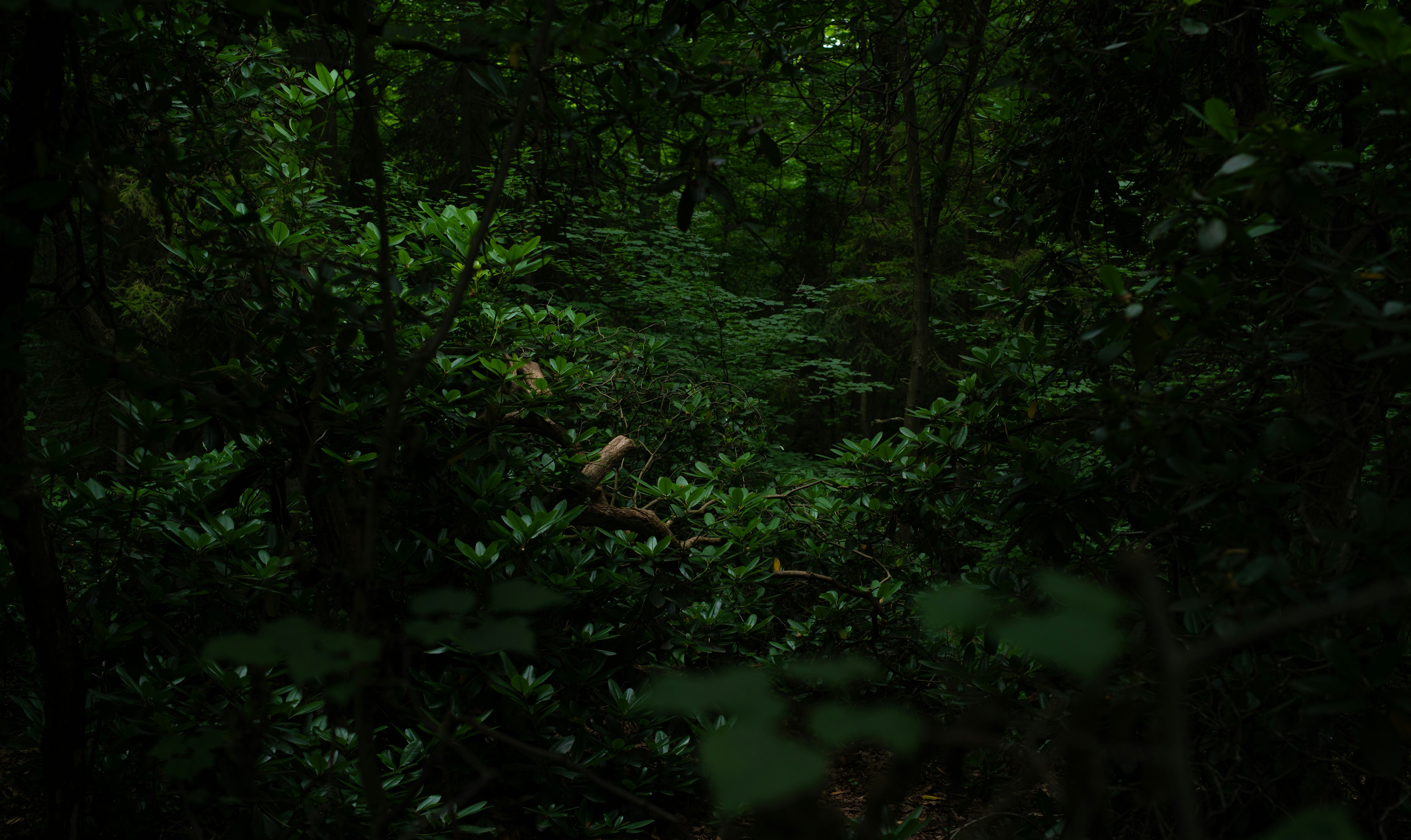 Photo by rick_d_fotografie