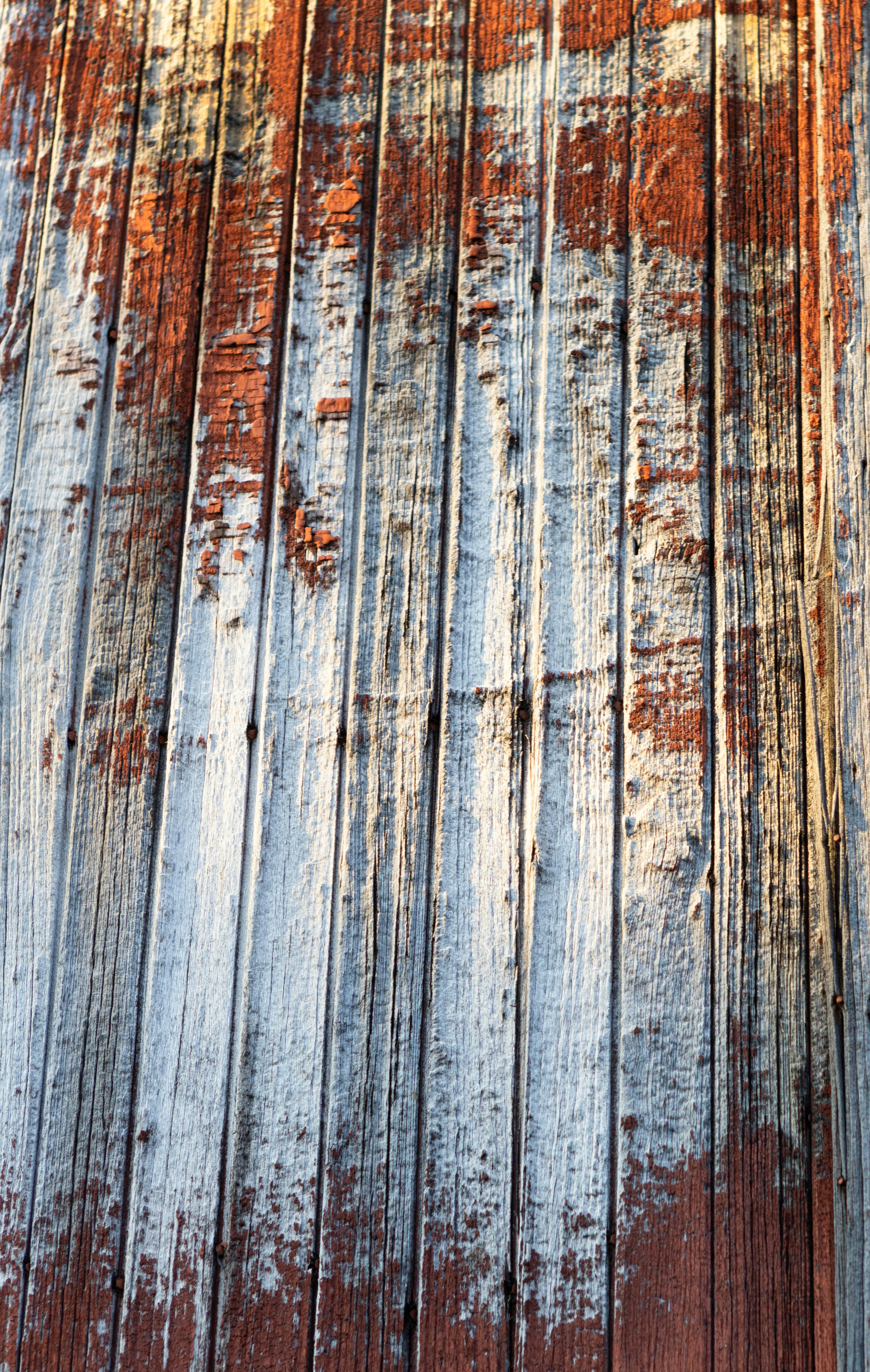 Photo by judy_beth_morris_idaho