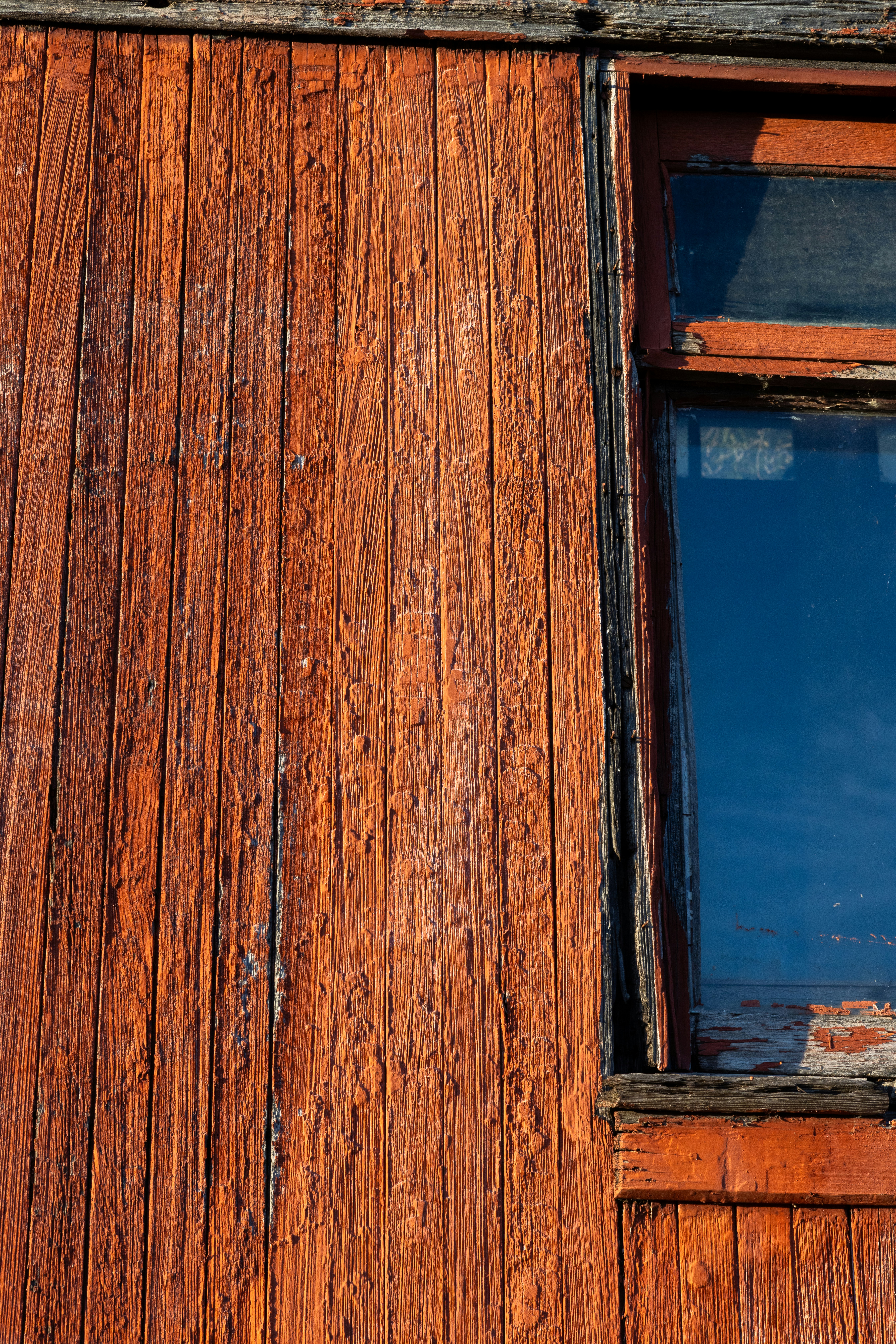 Photo by judy_beth_morris_idaho