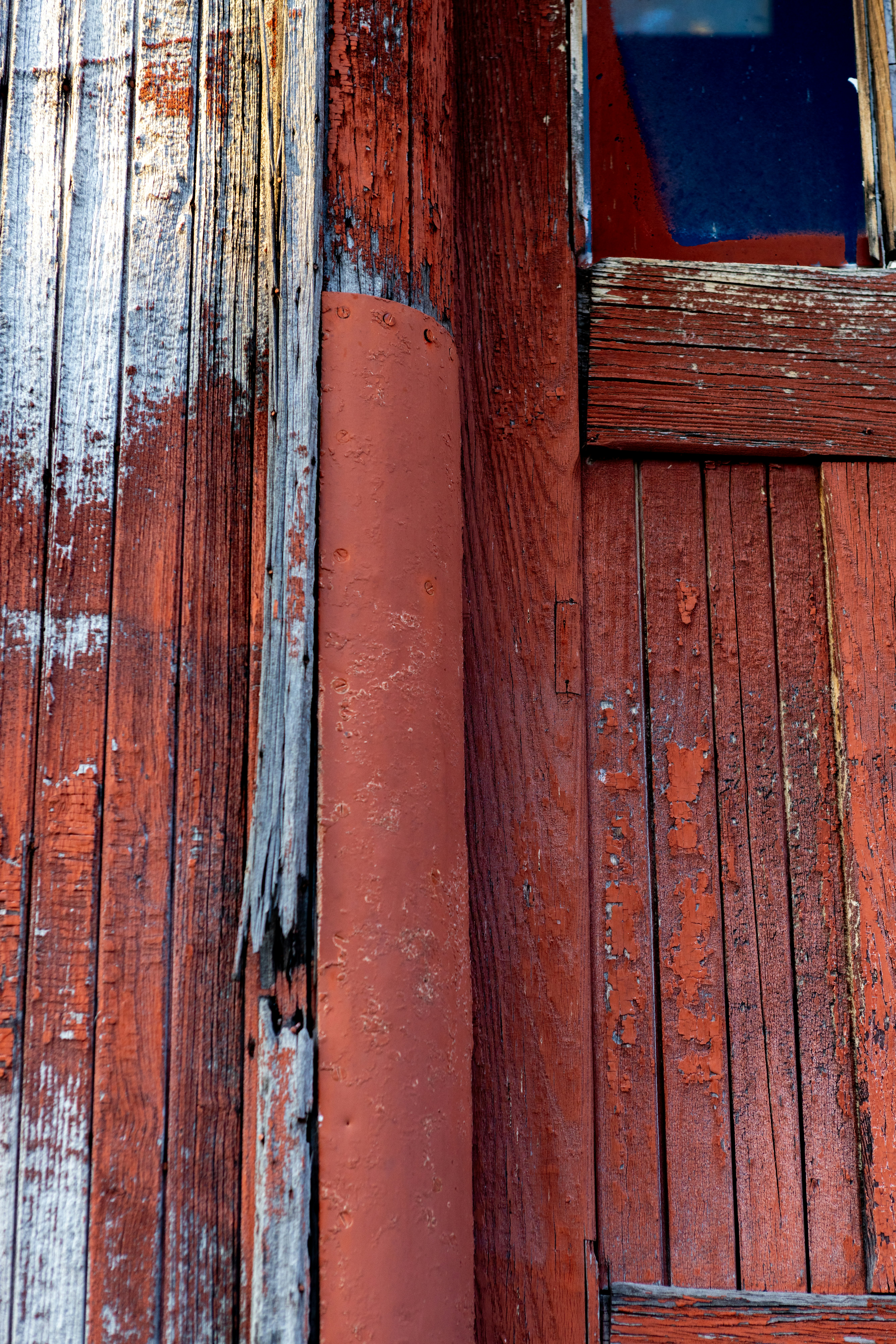 Photo by judy_beth_morris_idaho