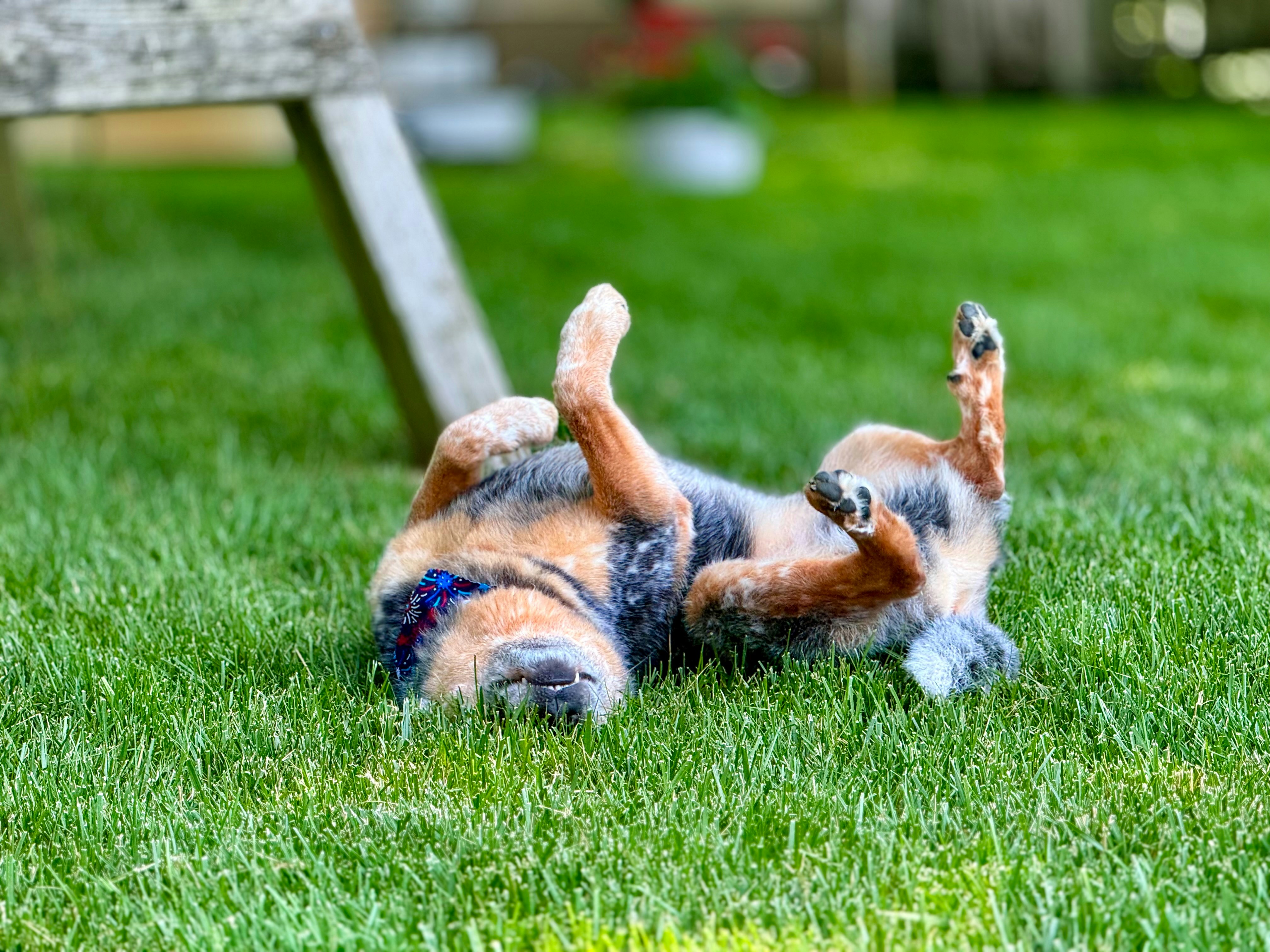 Photo by davidtoddmccarty