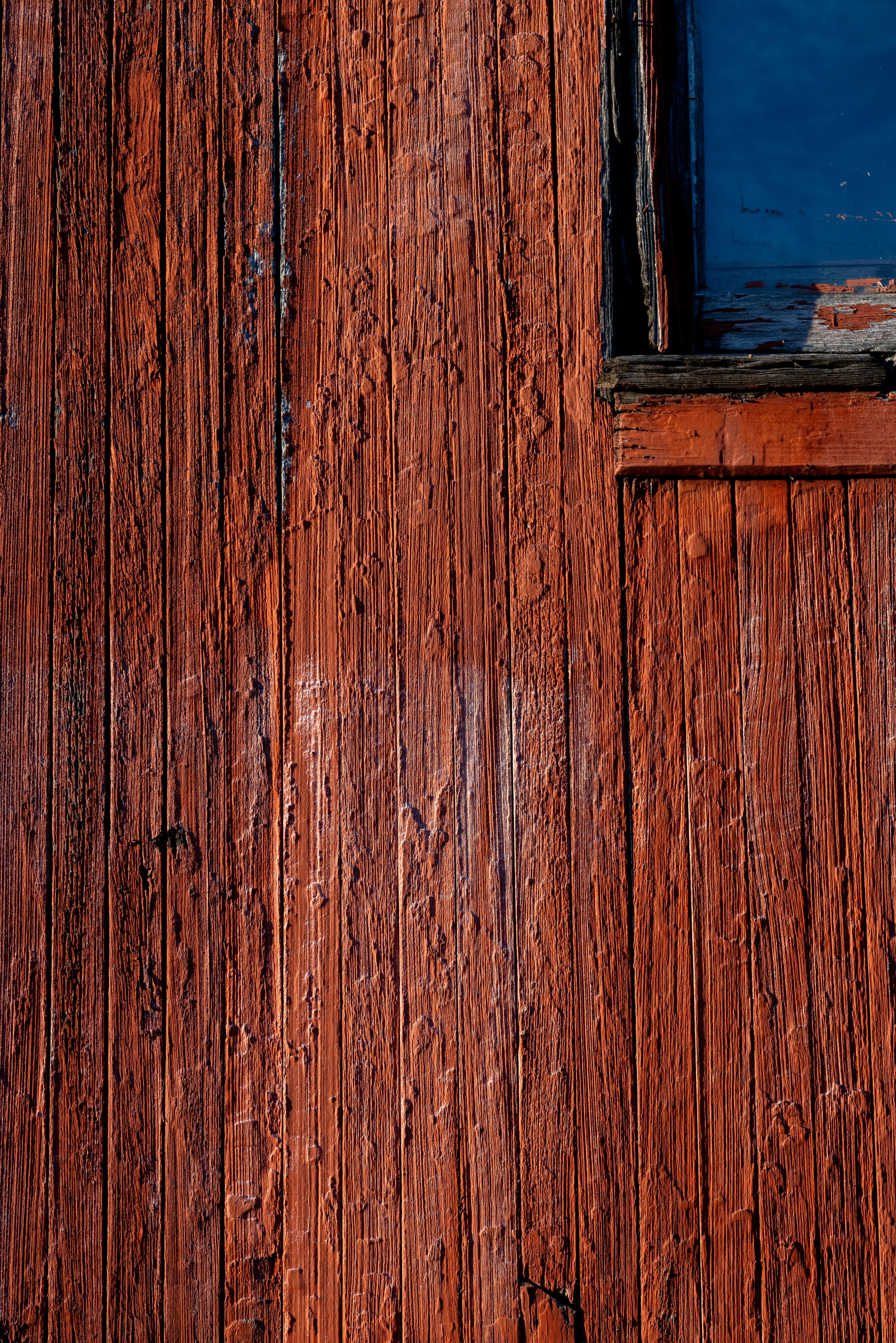 Photo by judy_beth_morris_idaho