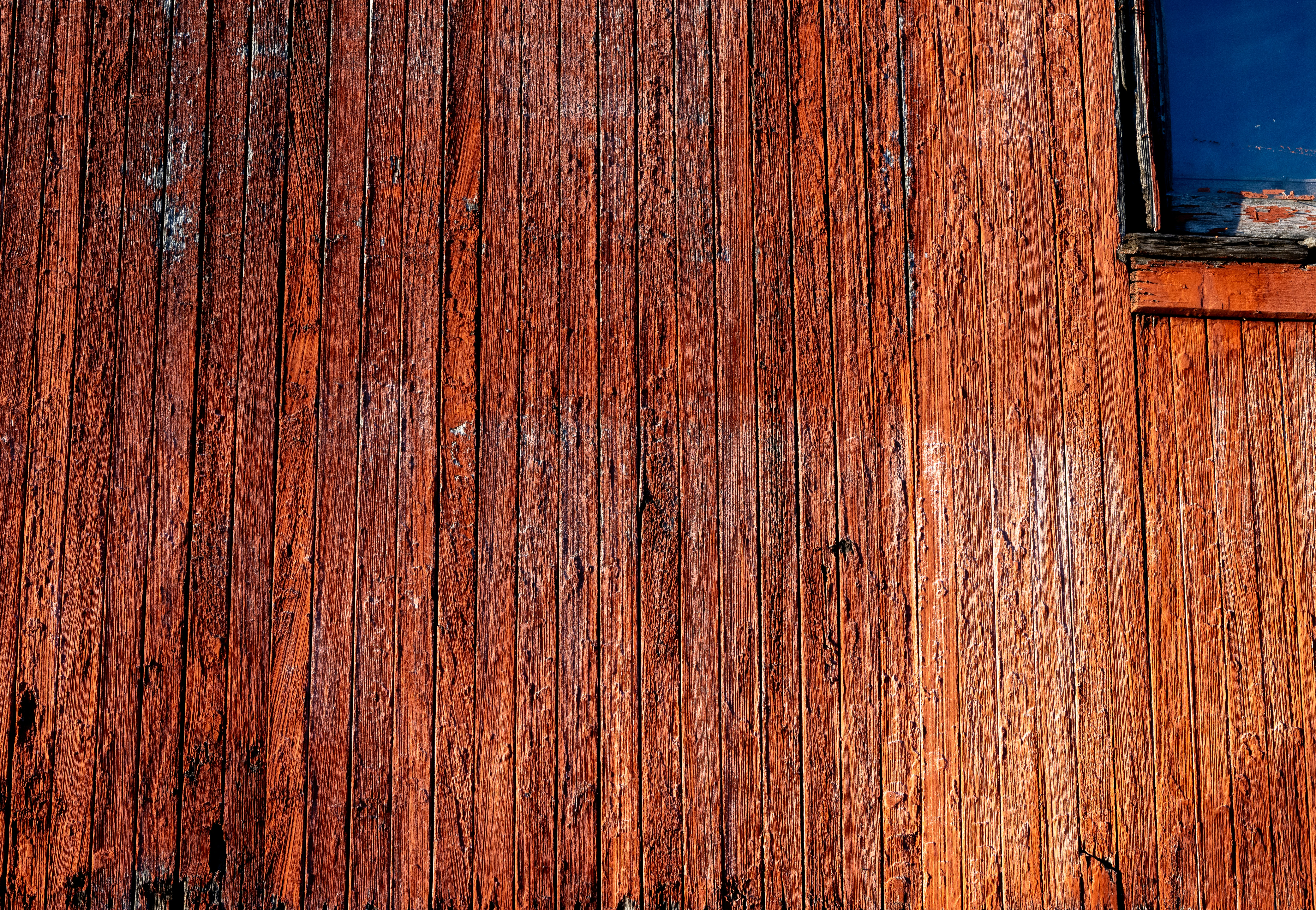 Photo by judy_beth_morris_idaho