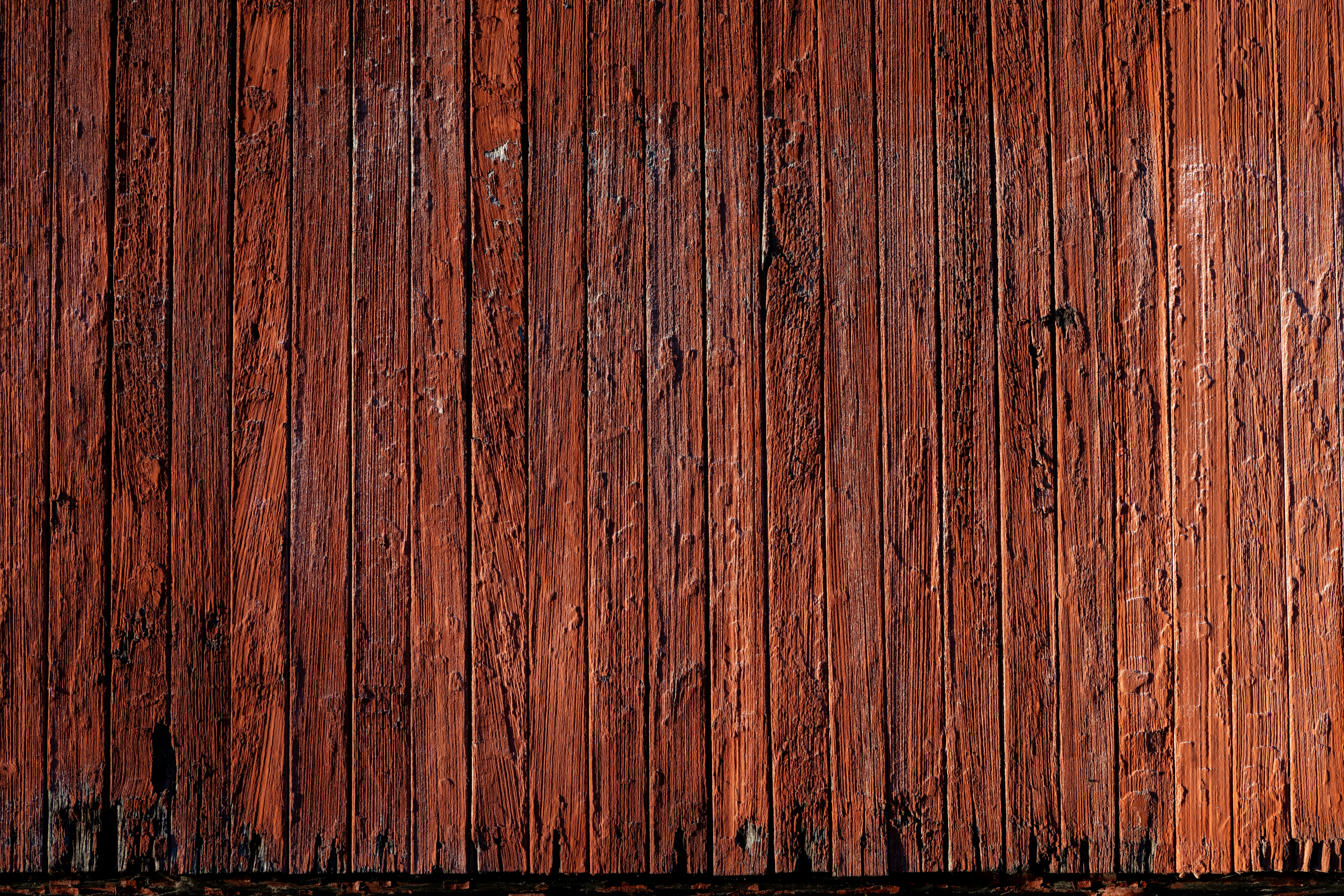 Photo by judy_beth_morris_idaho