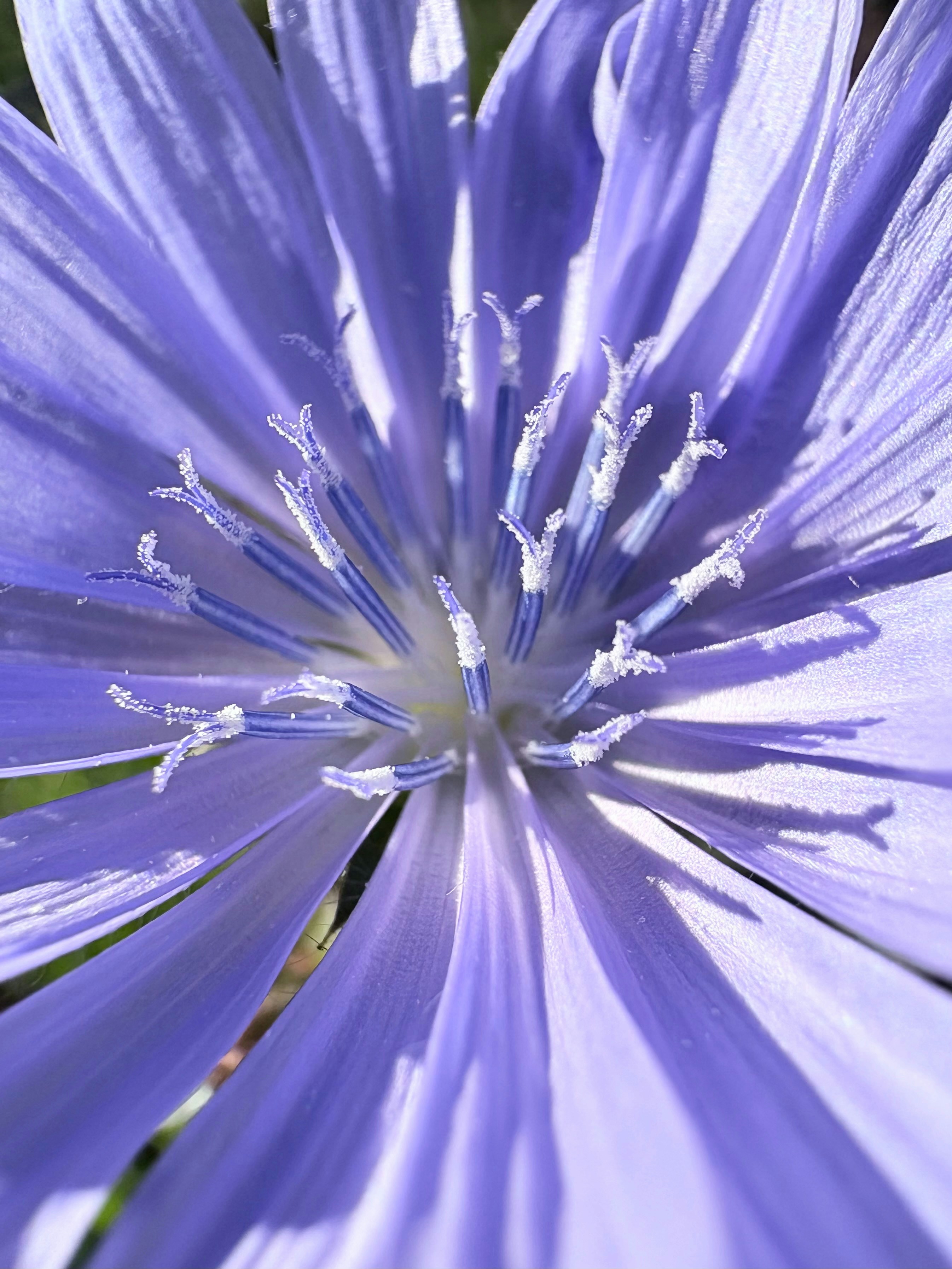 Photo by tashakostyuk