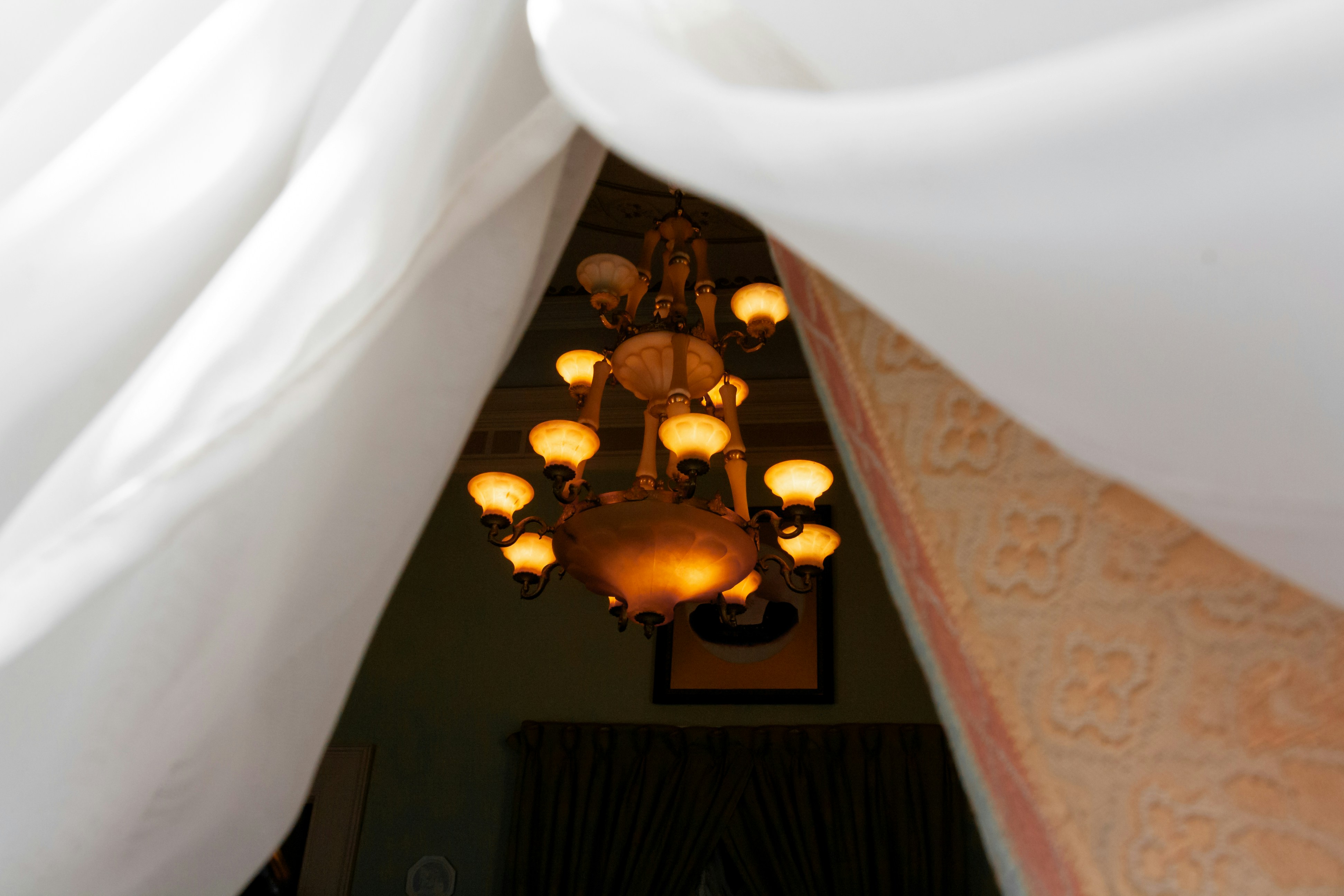 Photo by kulikovnik2