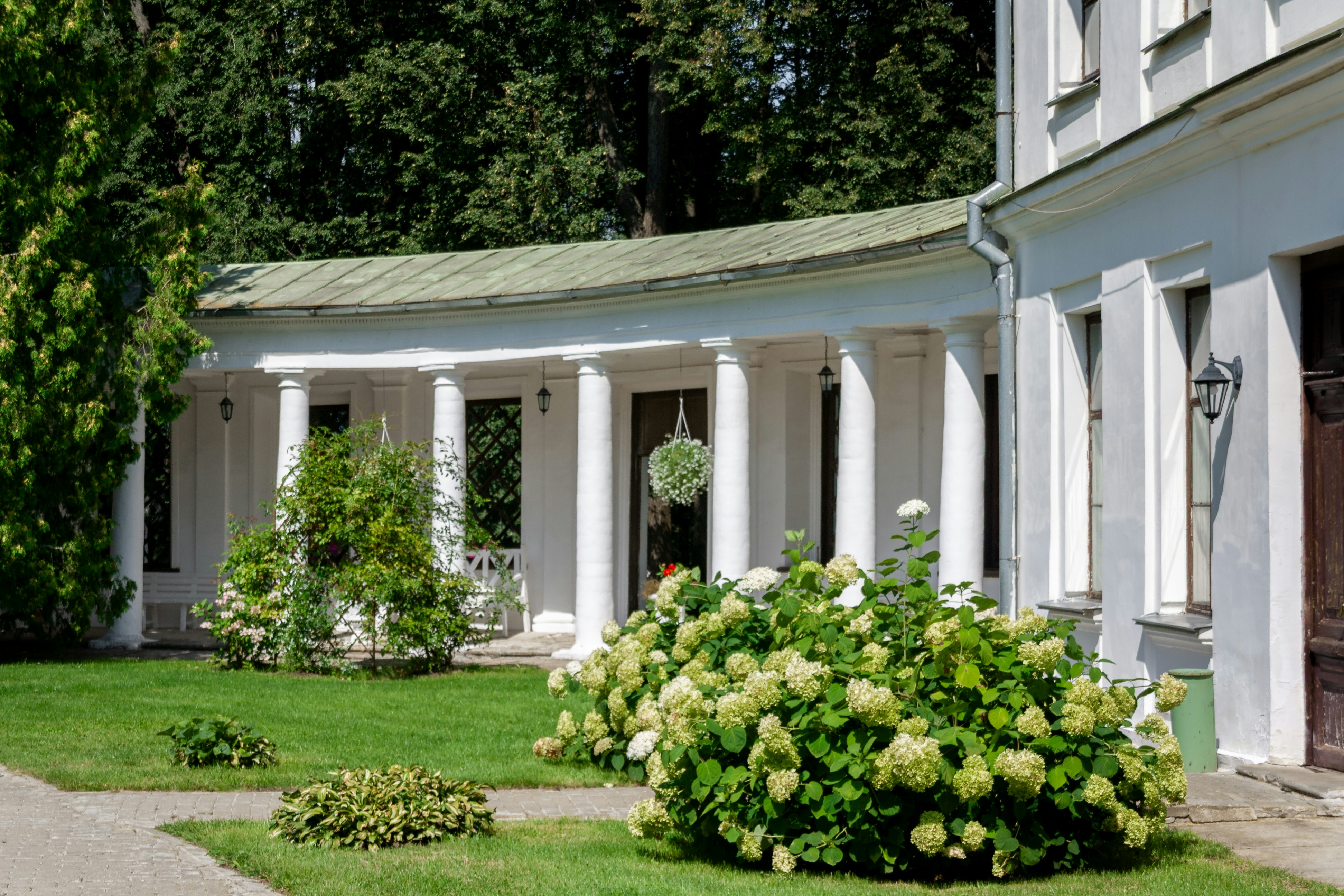 Photo by kulikovnik2