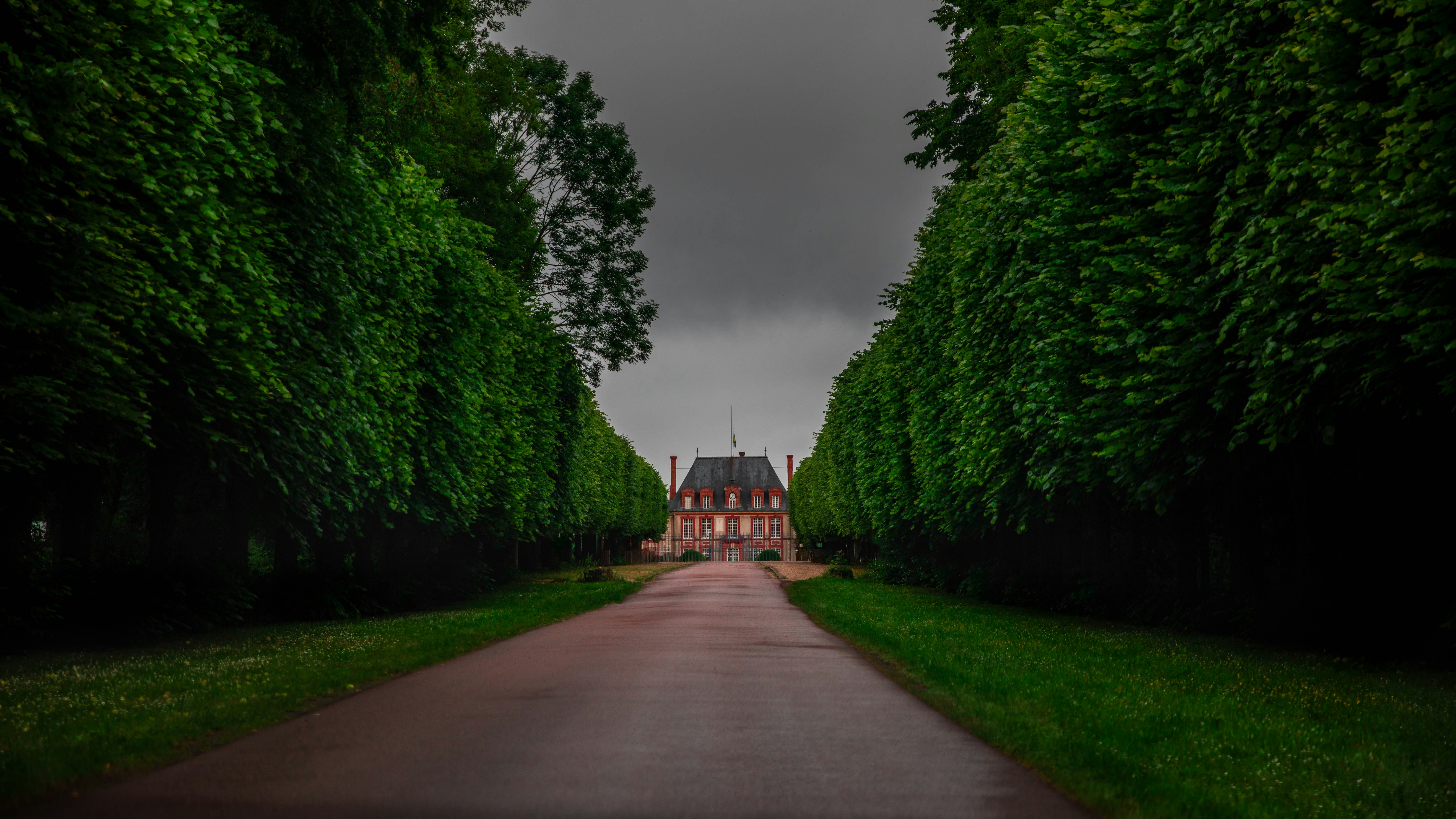 Manor house at the end of a tree-lined avenue