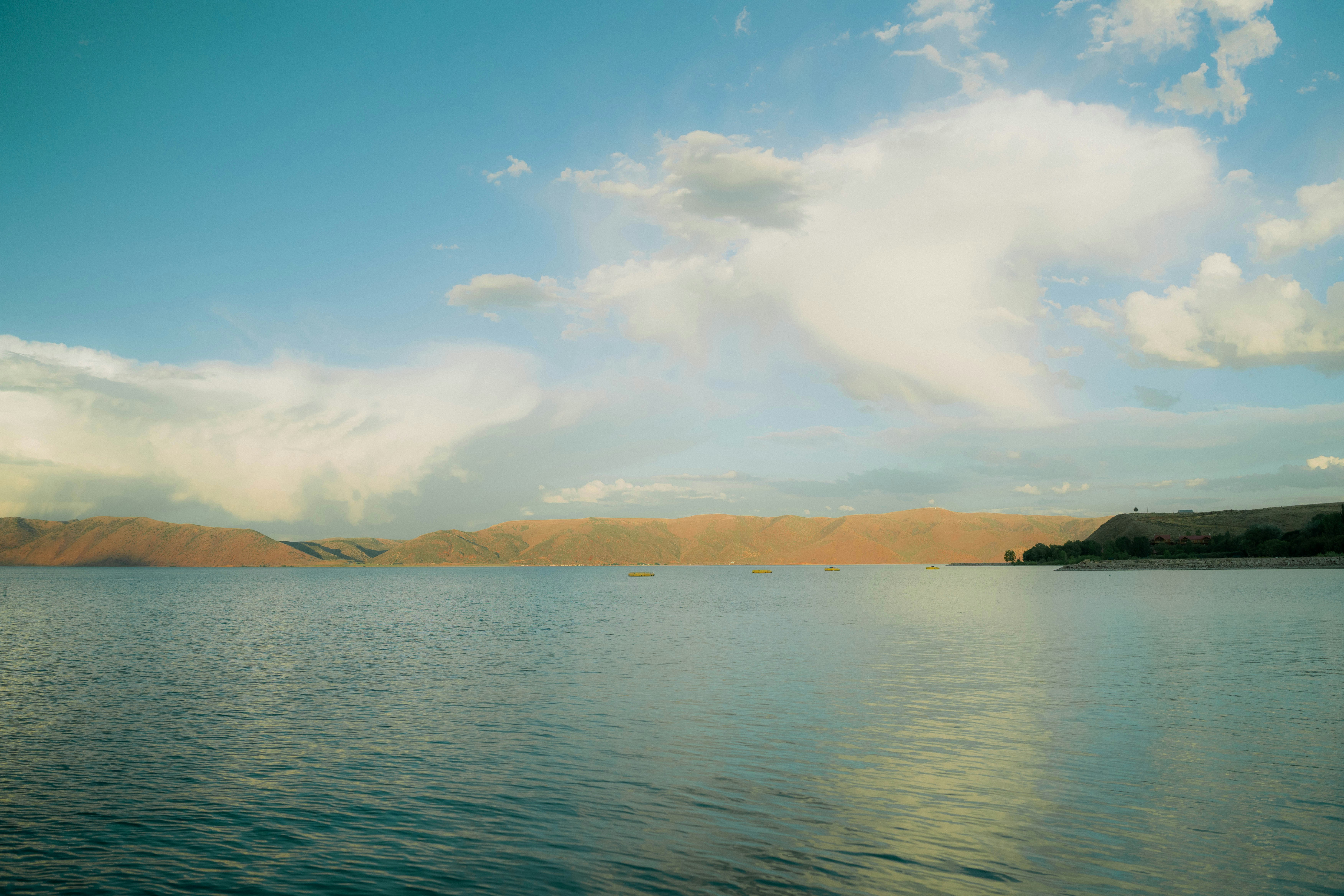 Photo by wonderwallphotos