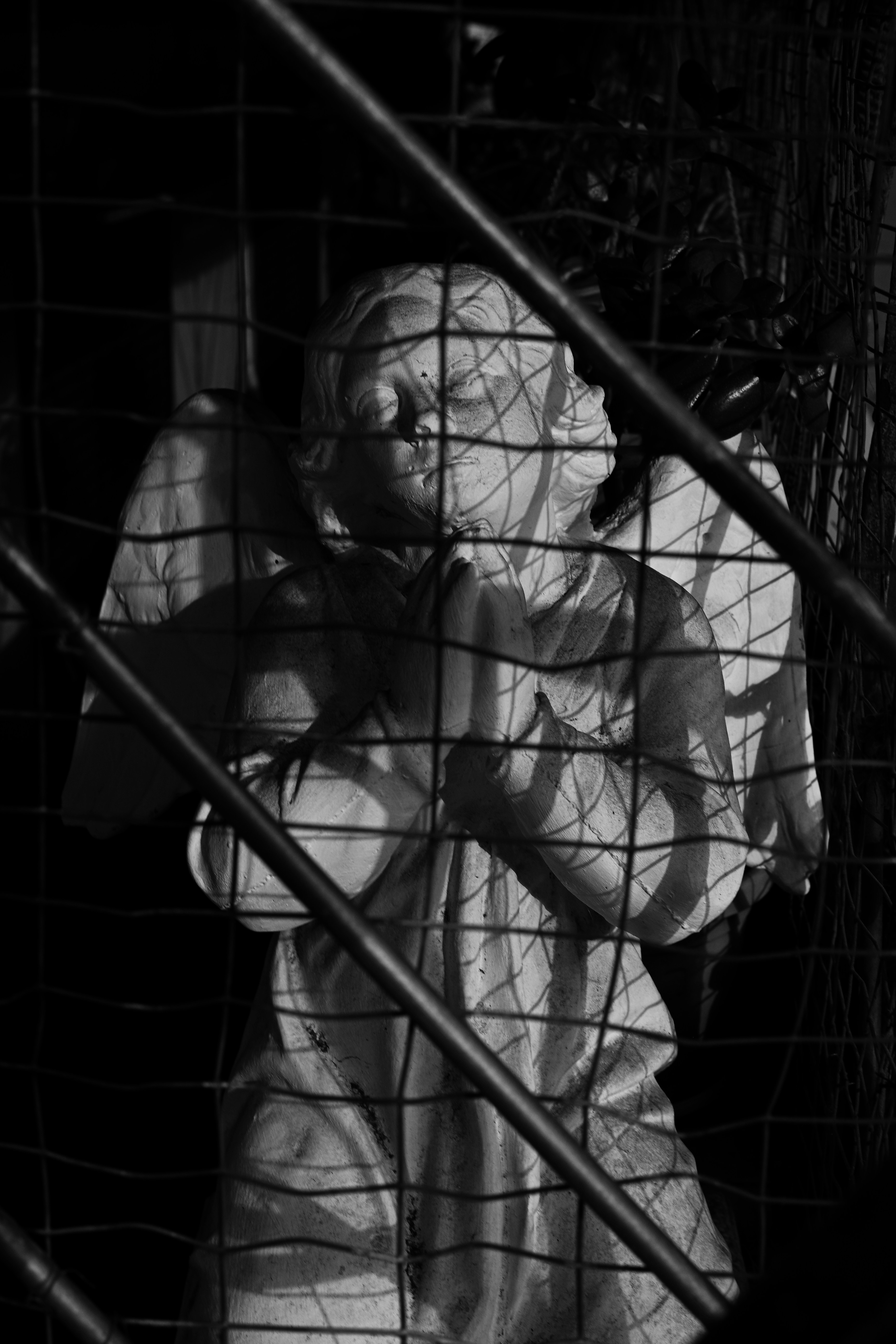 Photo by lvovandrewph