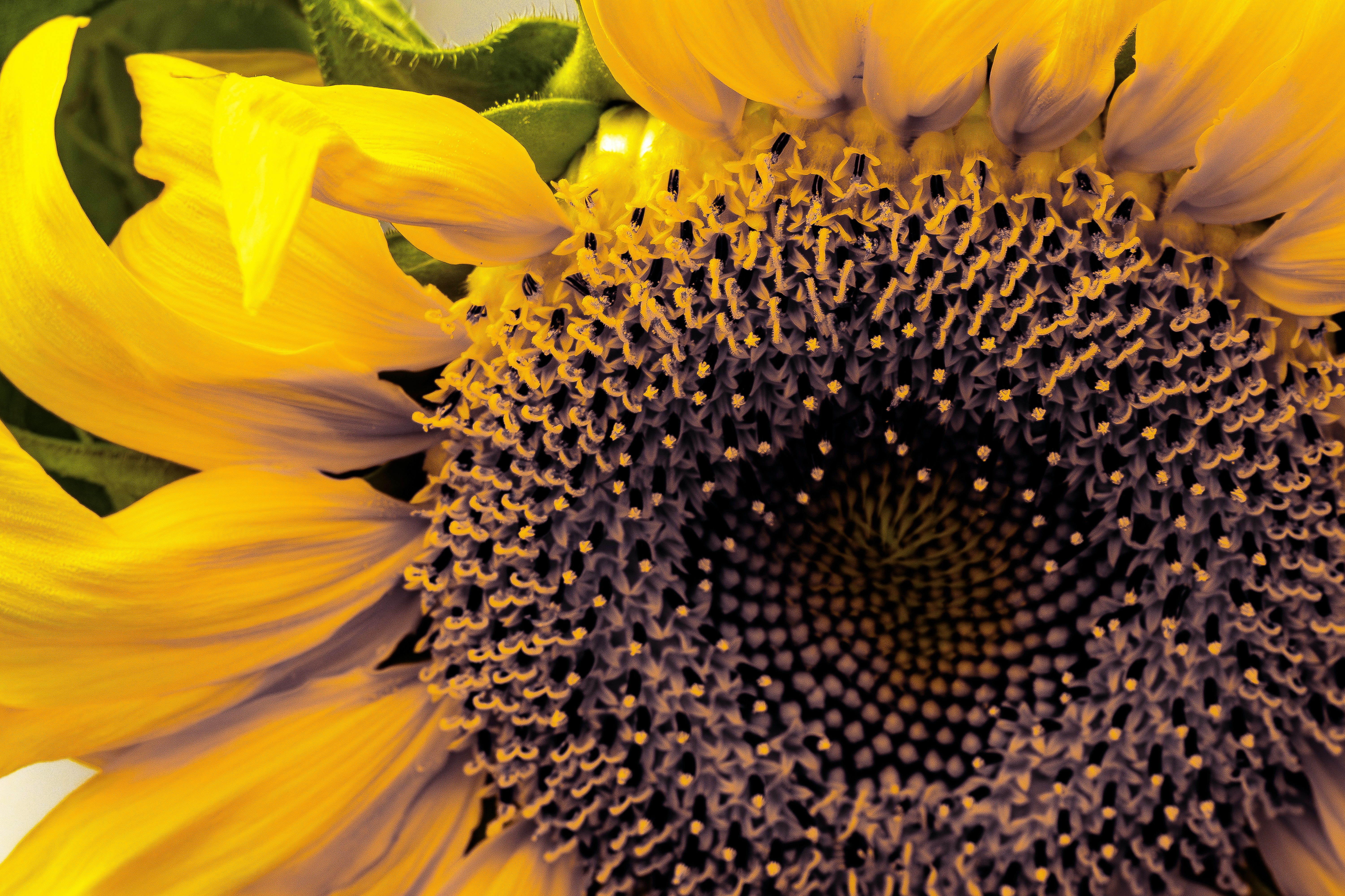 Photo by ucwhphotography