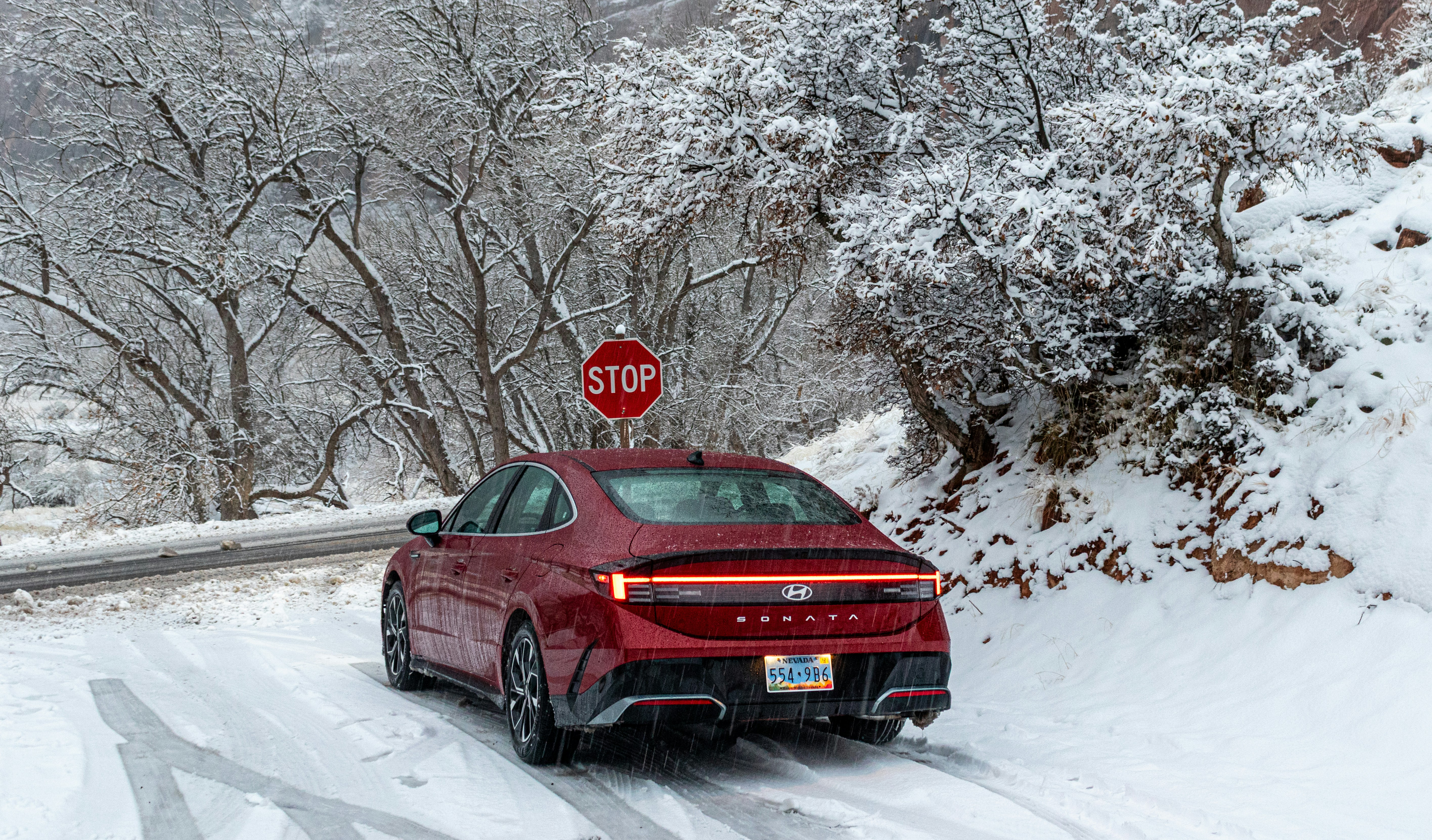 雪の降る朝の赤 photo-1708250565810-6a66931d3c3d