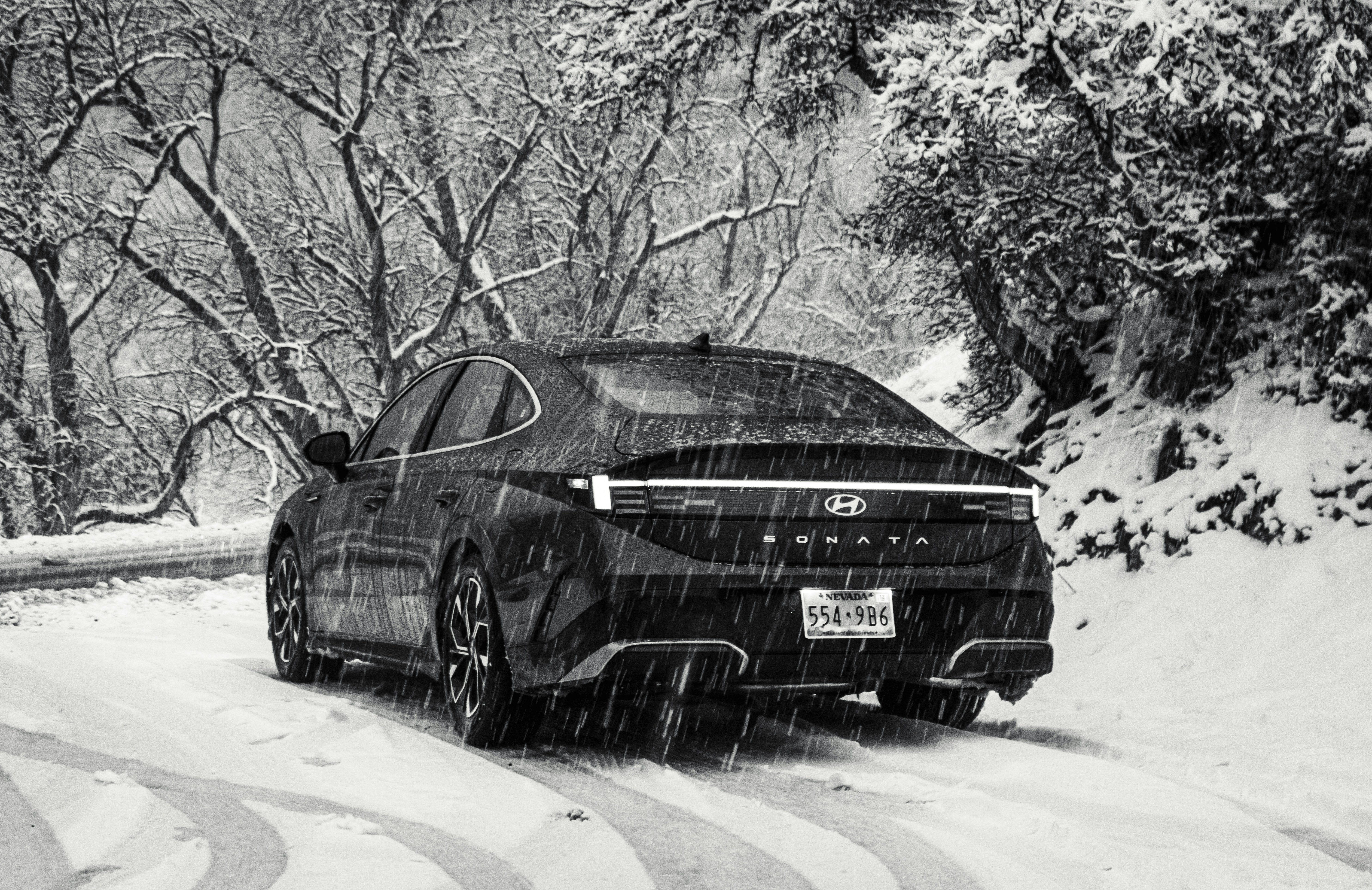 雪の降る朝の赤 photo-1708250565810-6a66931d3c3d